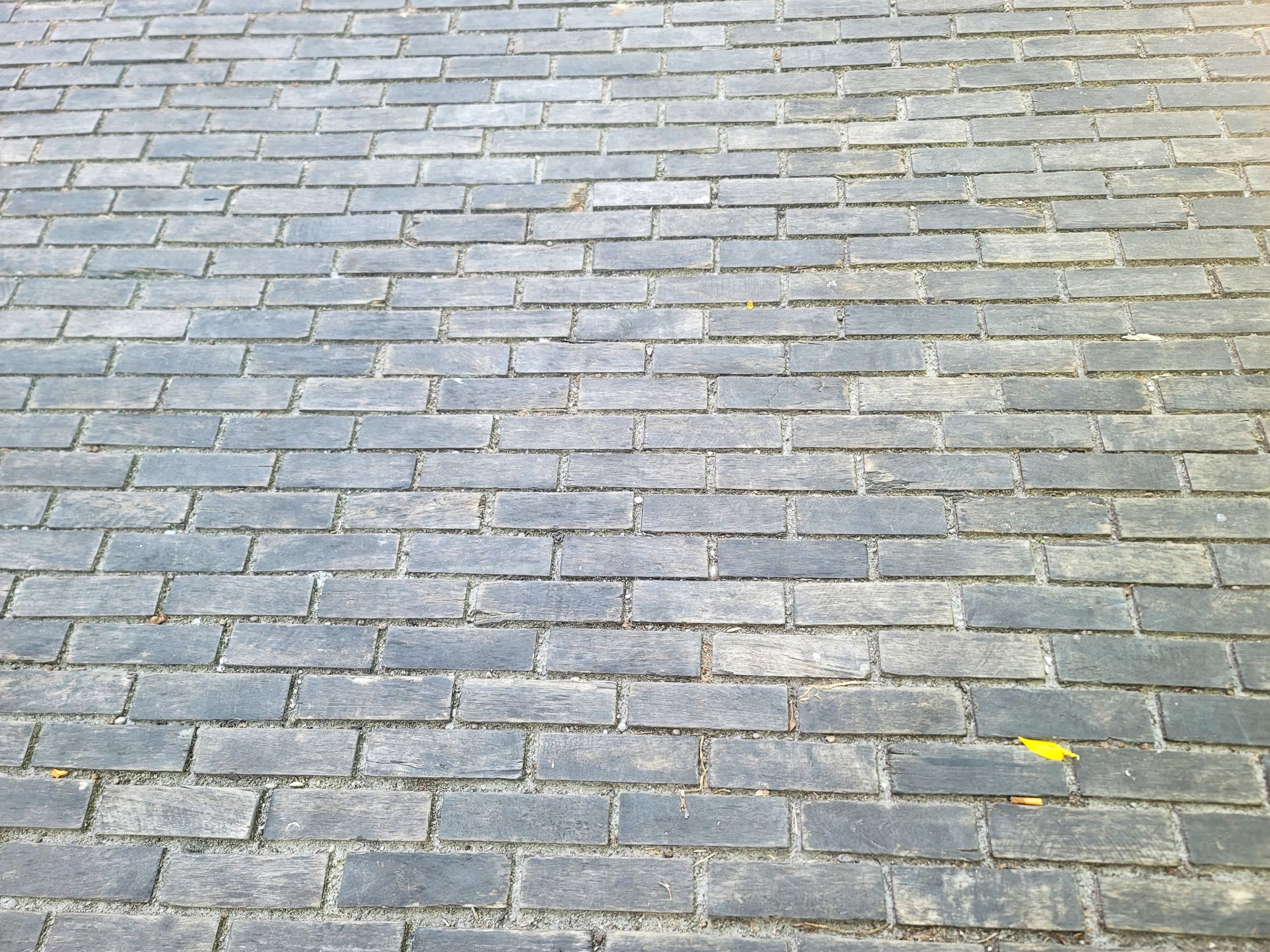 InShot_20250918_212752326.jpg