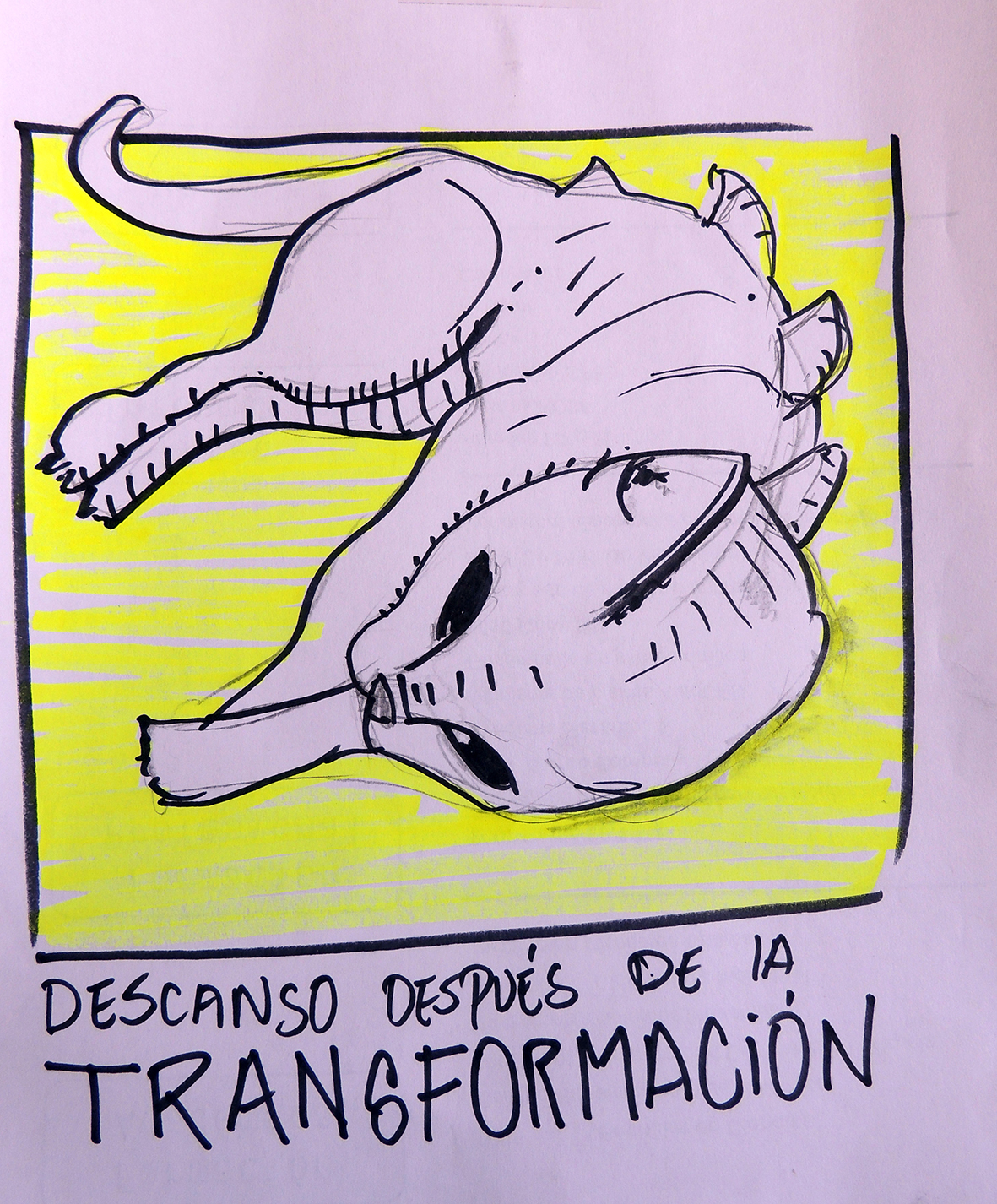Aiyo_transformaciónjpg.jpg