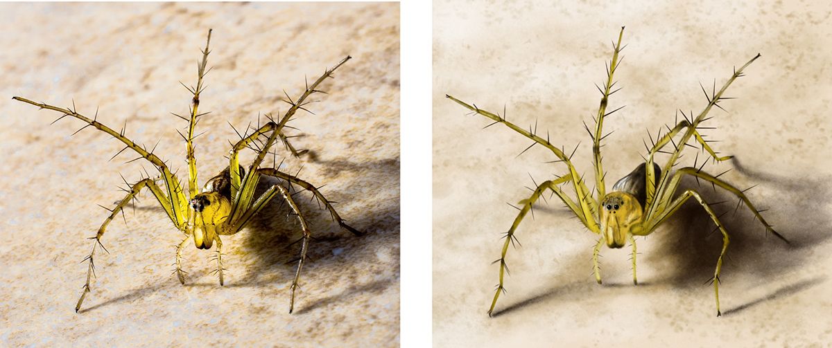 comparition.jpg