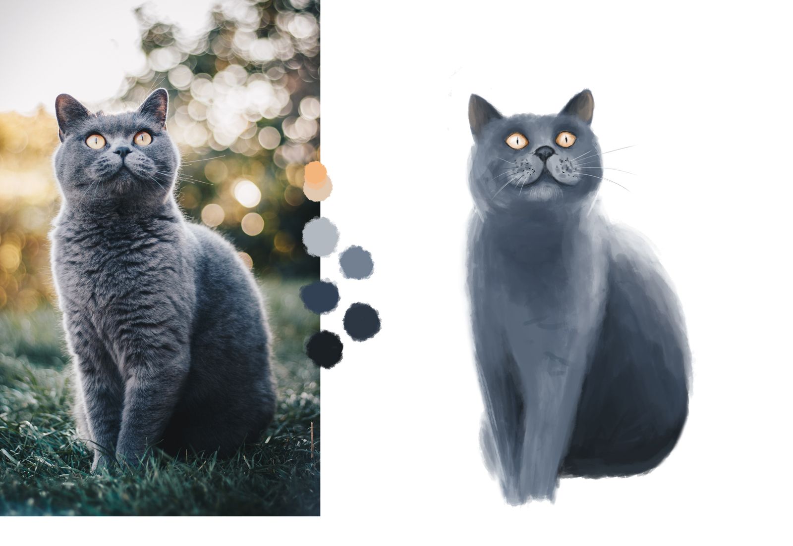 07-kat.jpg