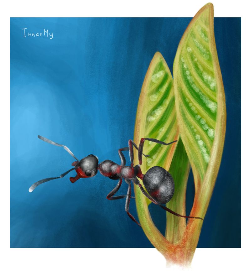 ant-final.jpg