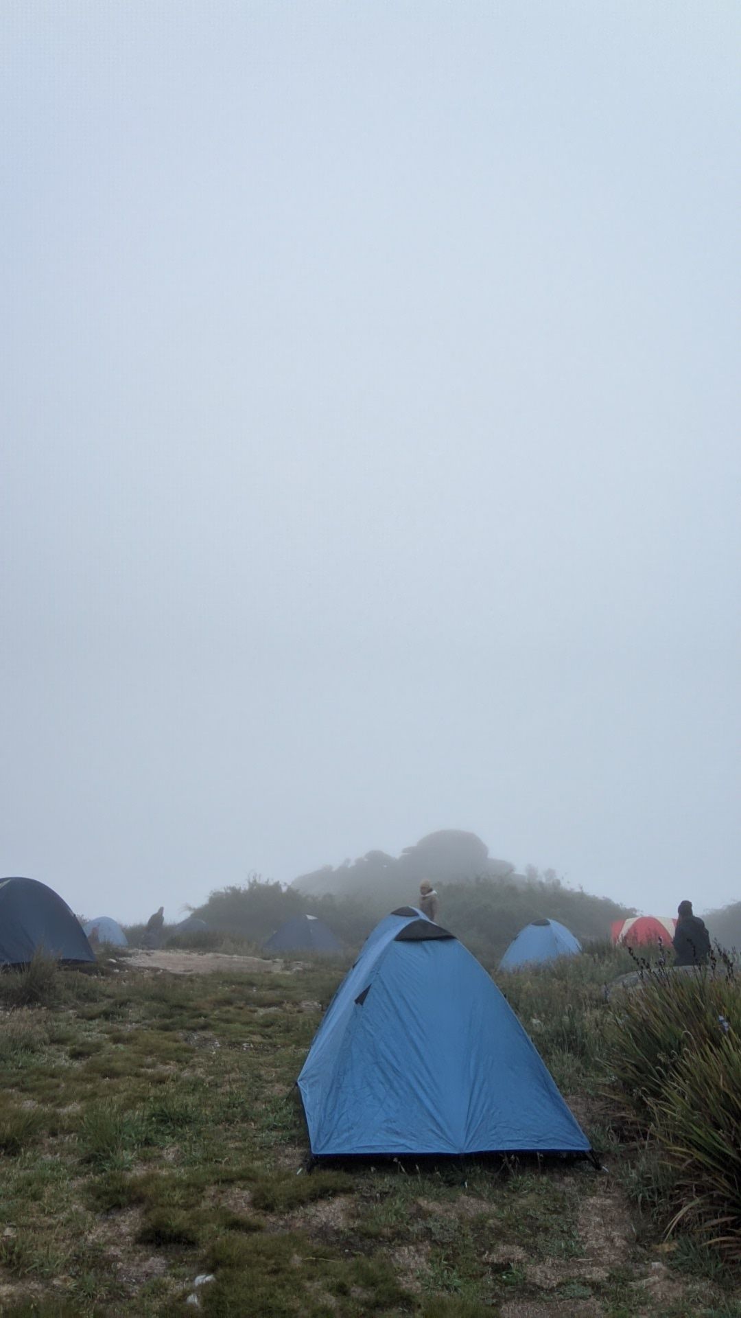 PXL_20230730_092406253.jpg