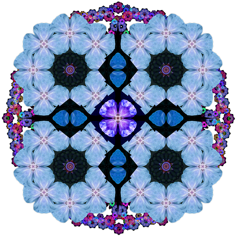 flower_4.png