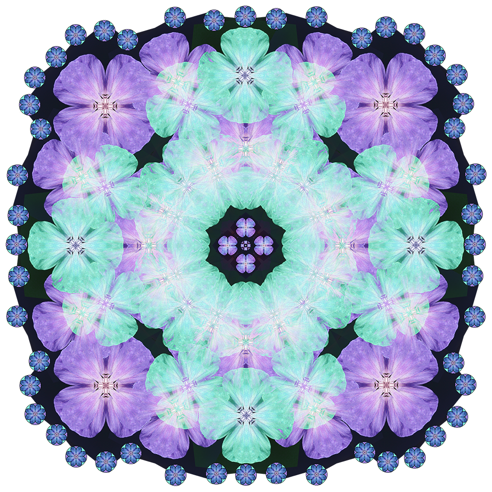 flower_2.png