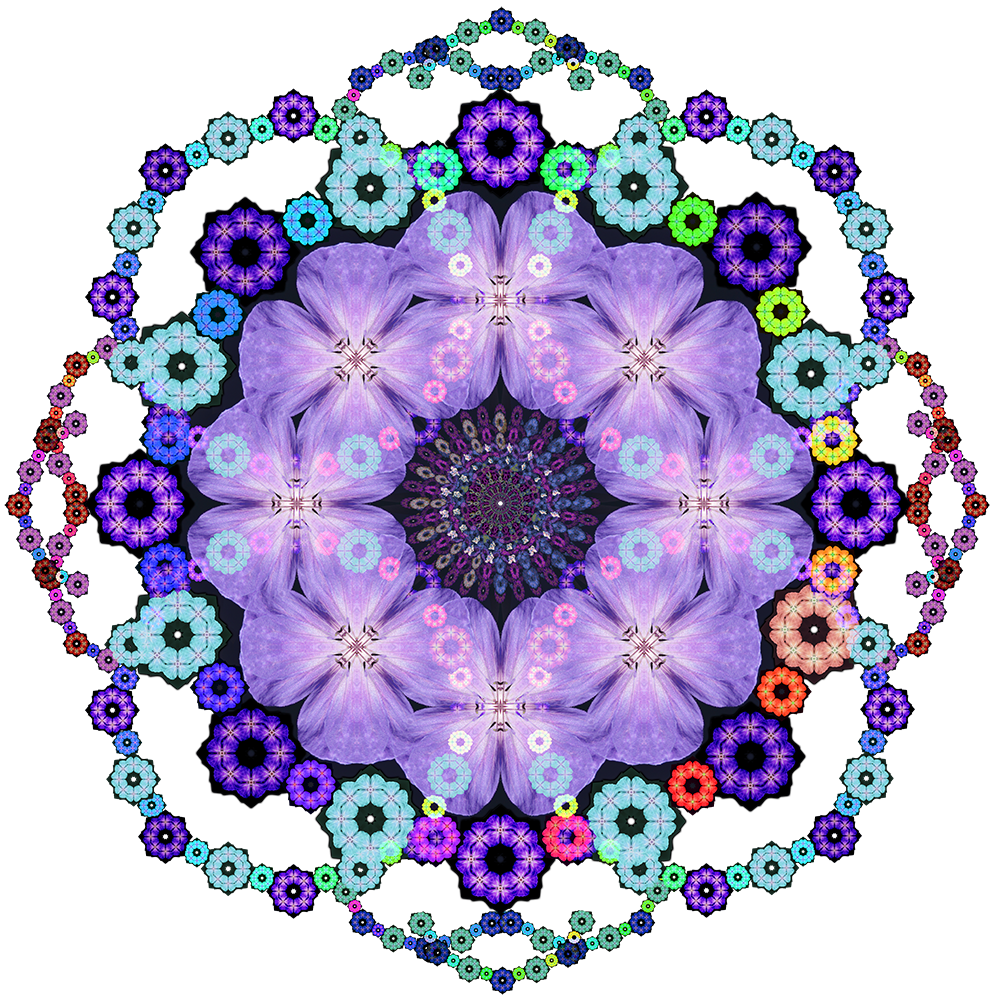 flower_1.png