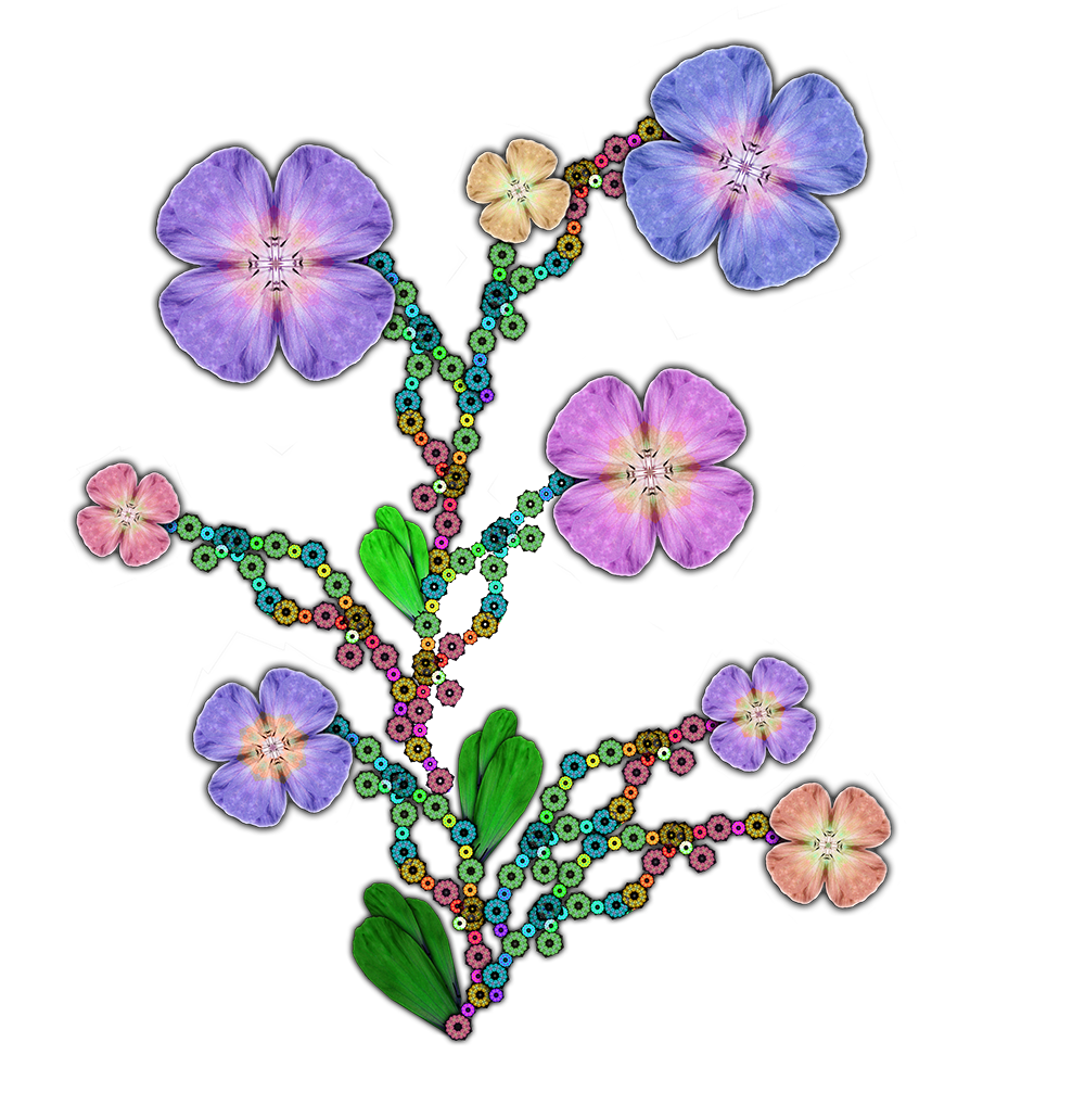 flower_3.png