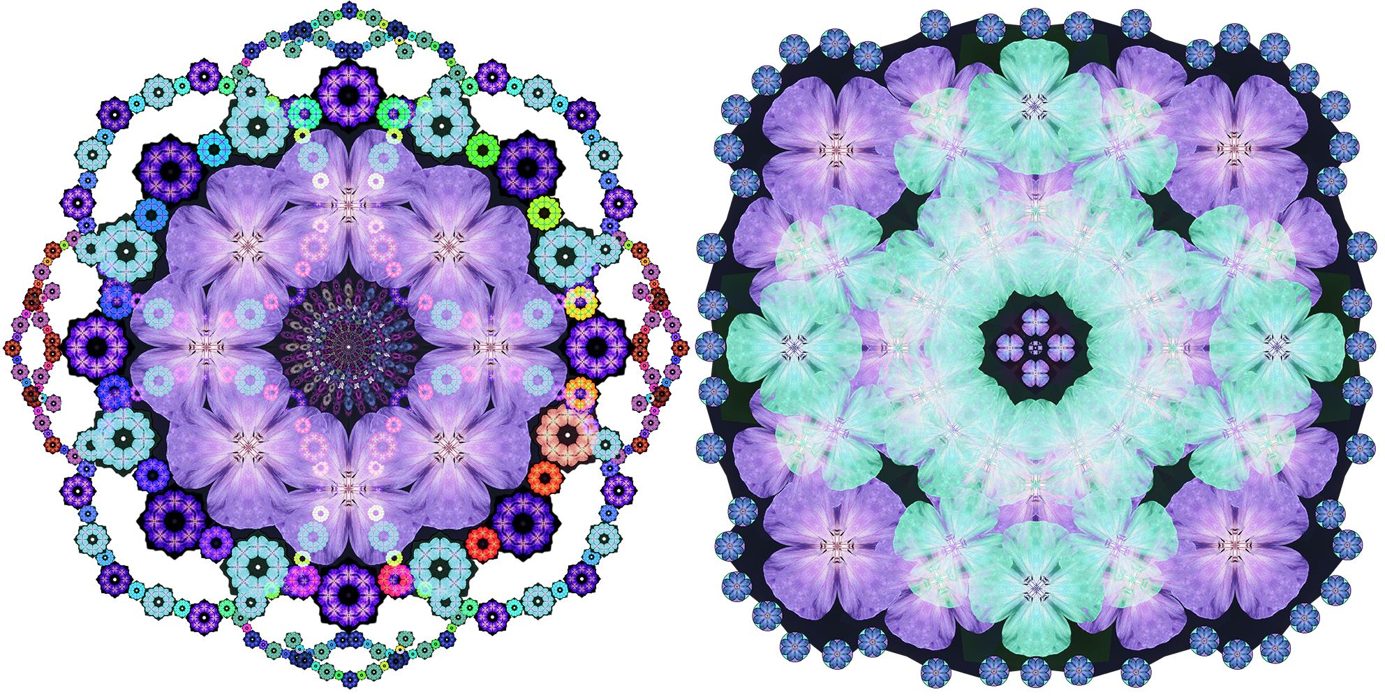 flowers2.png