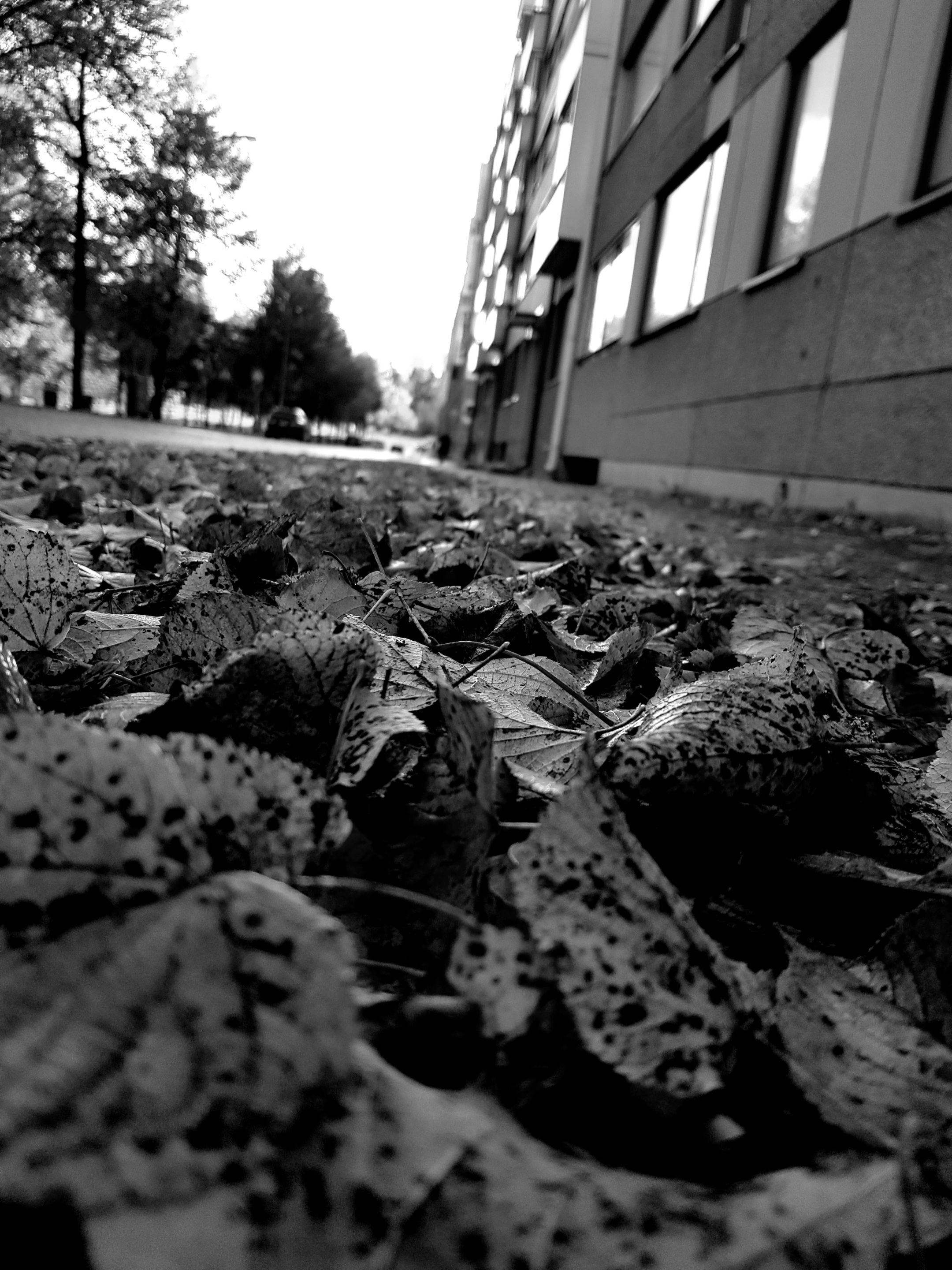 20221008_144820.jpg