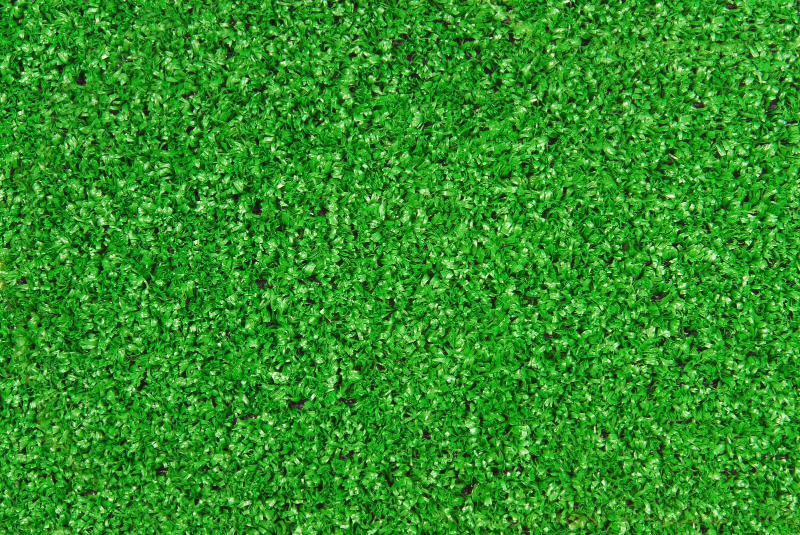 canstockphoto19242520.jpg