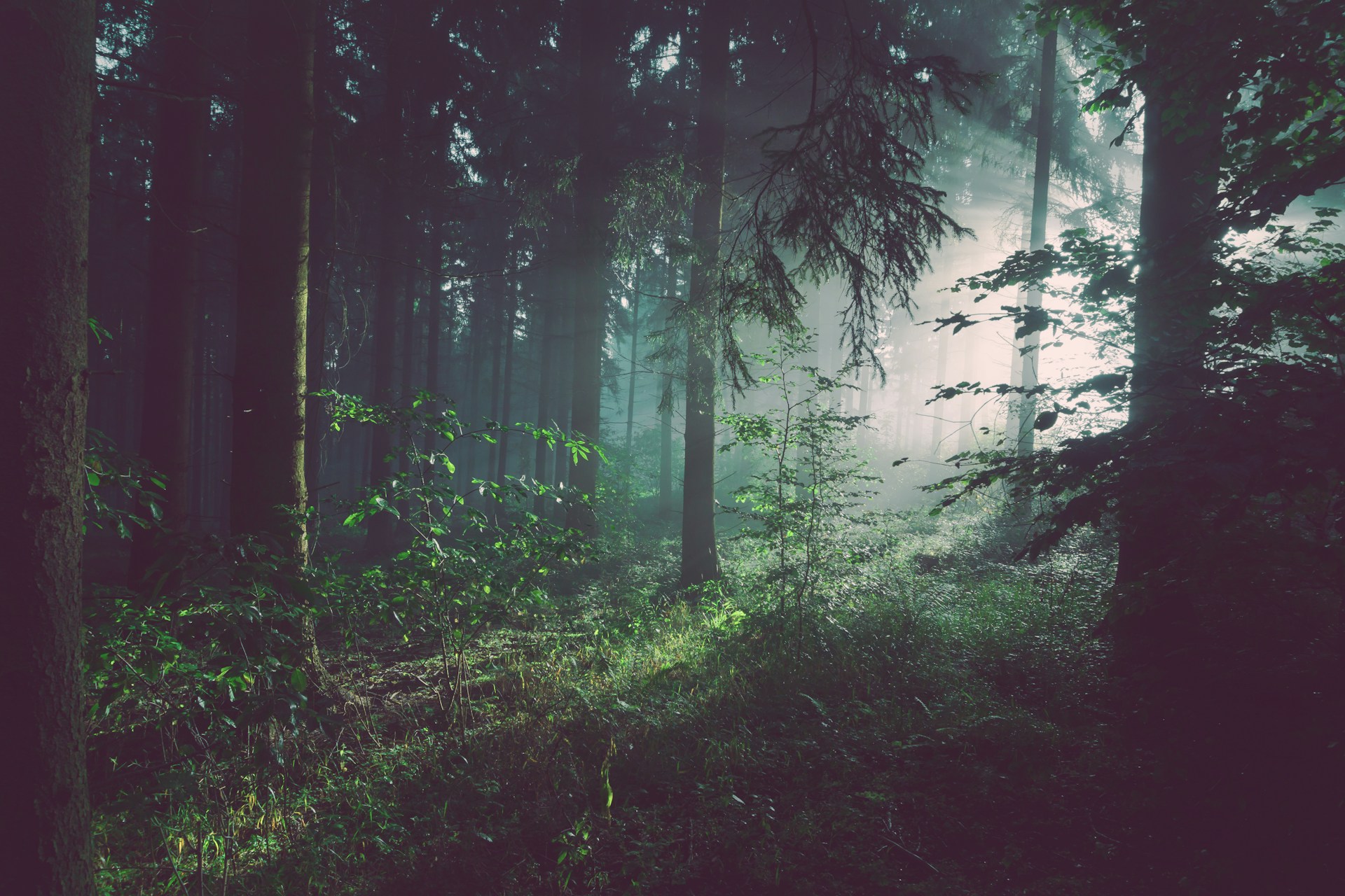 sebastian-unrau-sp-p7uuT0tw-unsplash.jpg