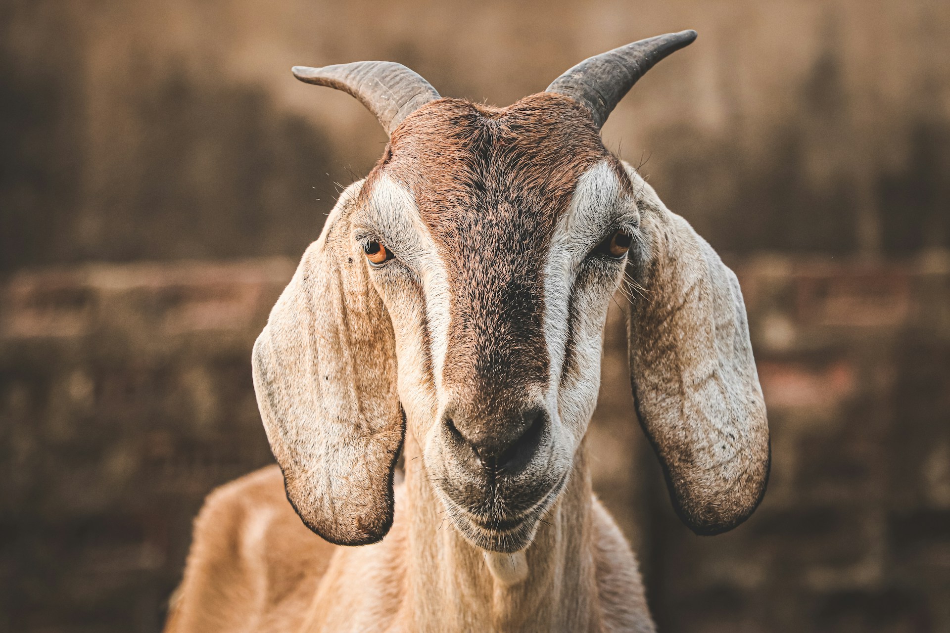 marwan-ahmed-_e_fe1OF-AI-unsplash.jpg