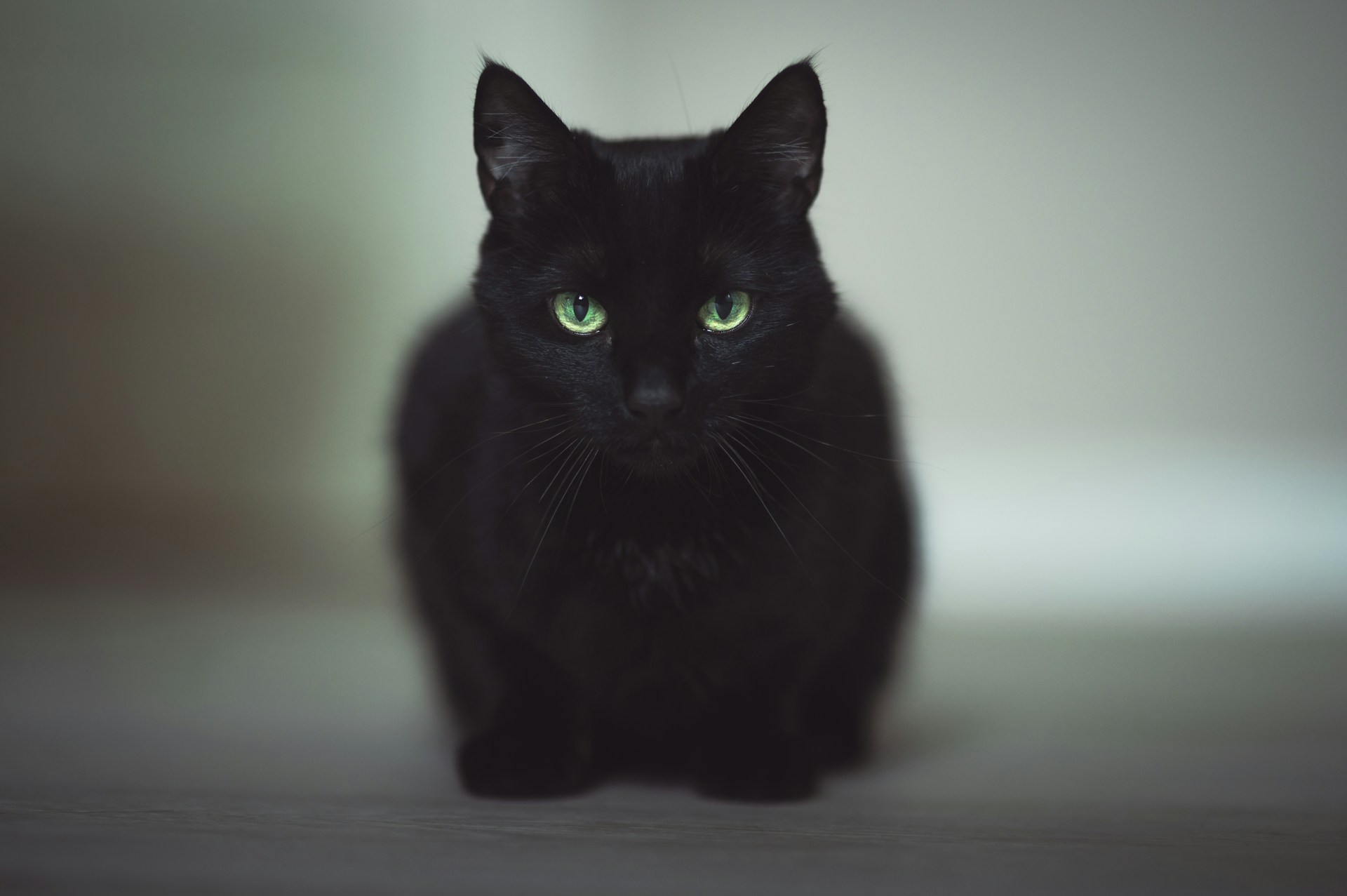 lachlan-gowen-lR9nnUuUQ_Y-unsplash.jpg