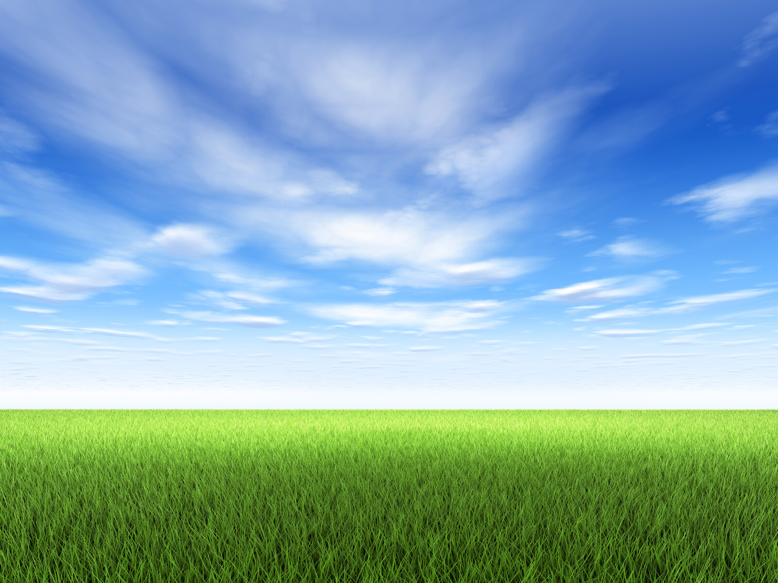 canstockphoto5266619.jpg