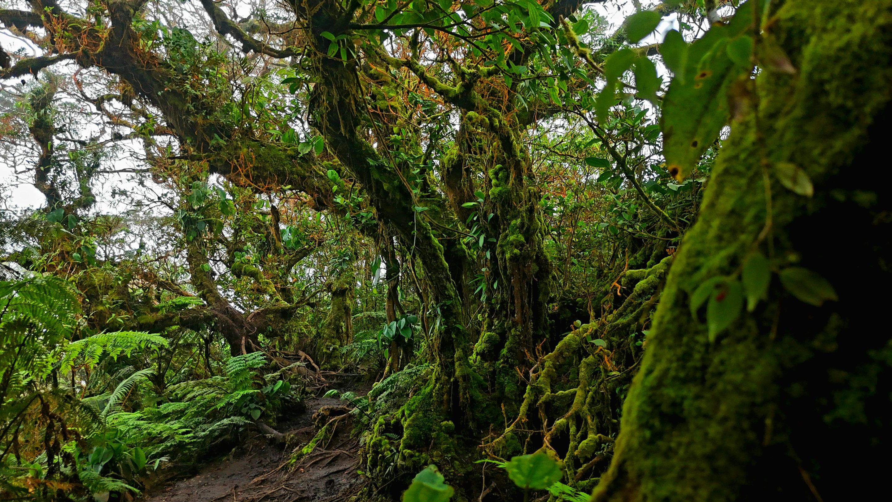 dji_fly_20250525_110100_0105_1748226093687_photo.jpg