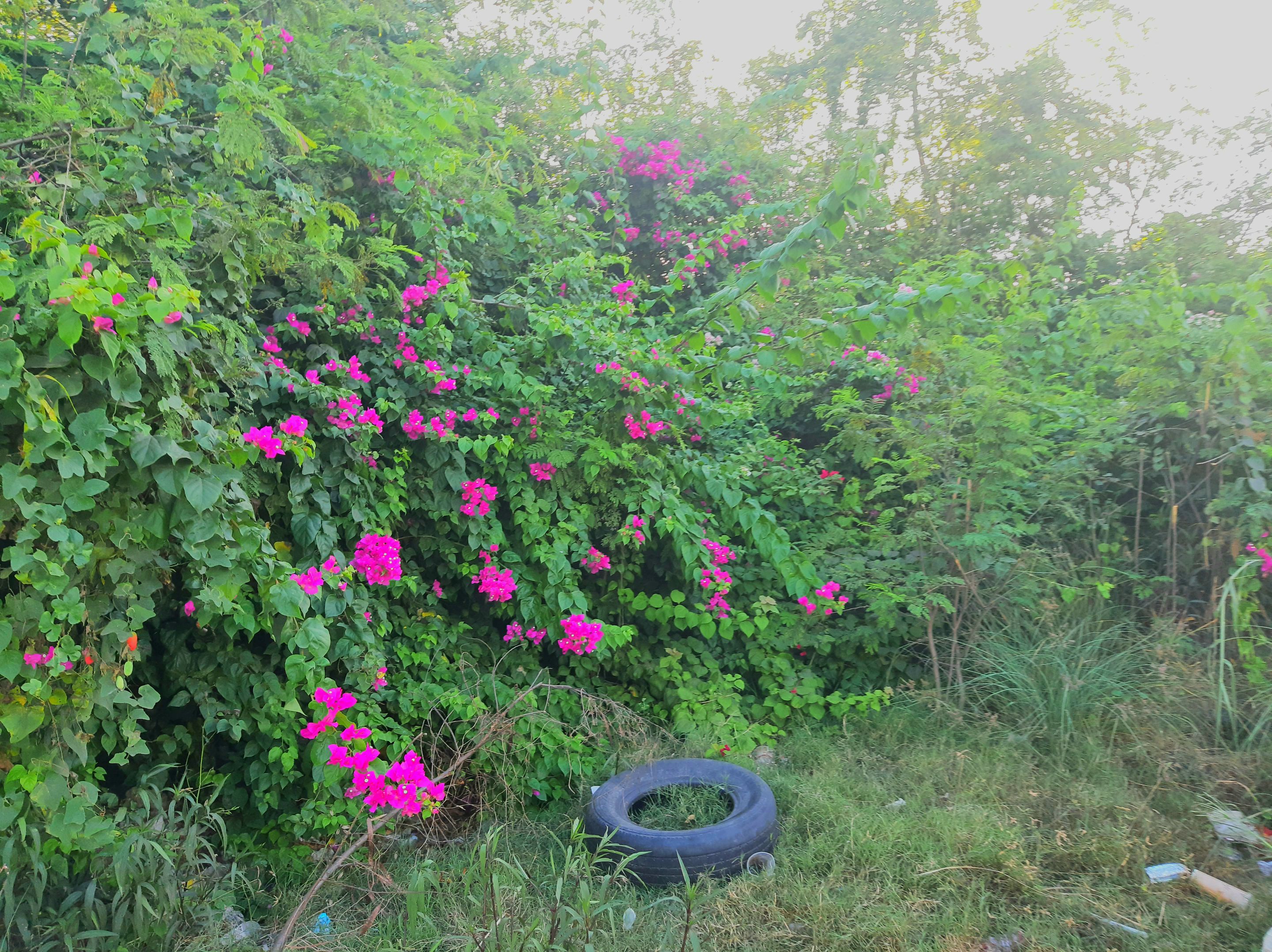 20220914_165148.jpg