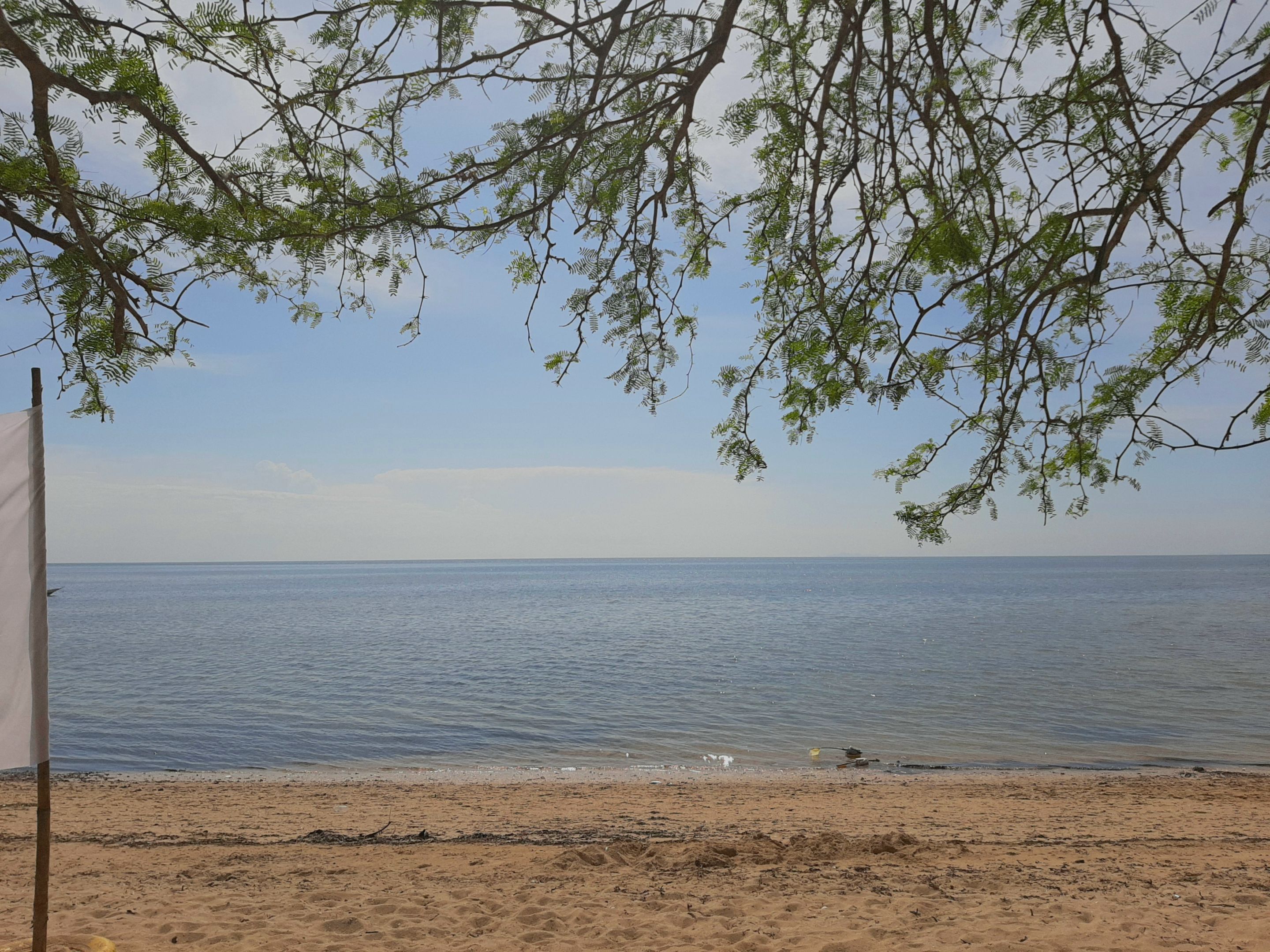 20220415_144800.jpg