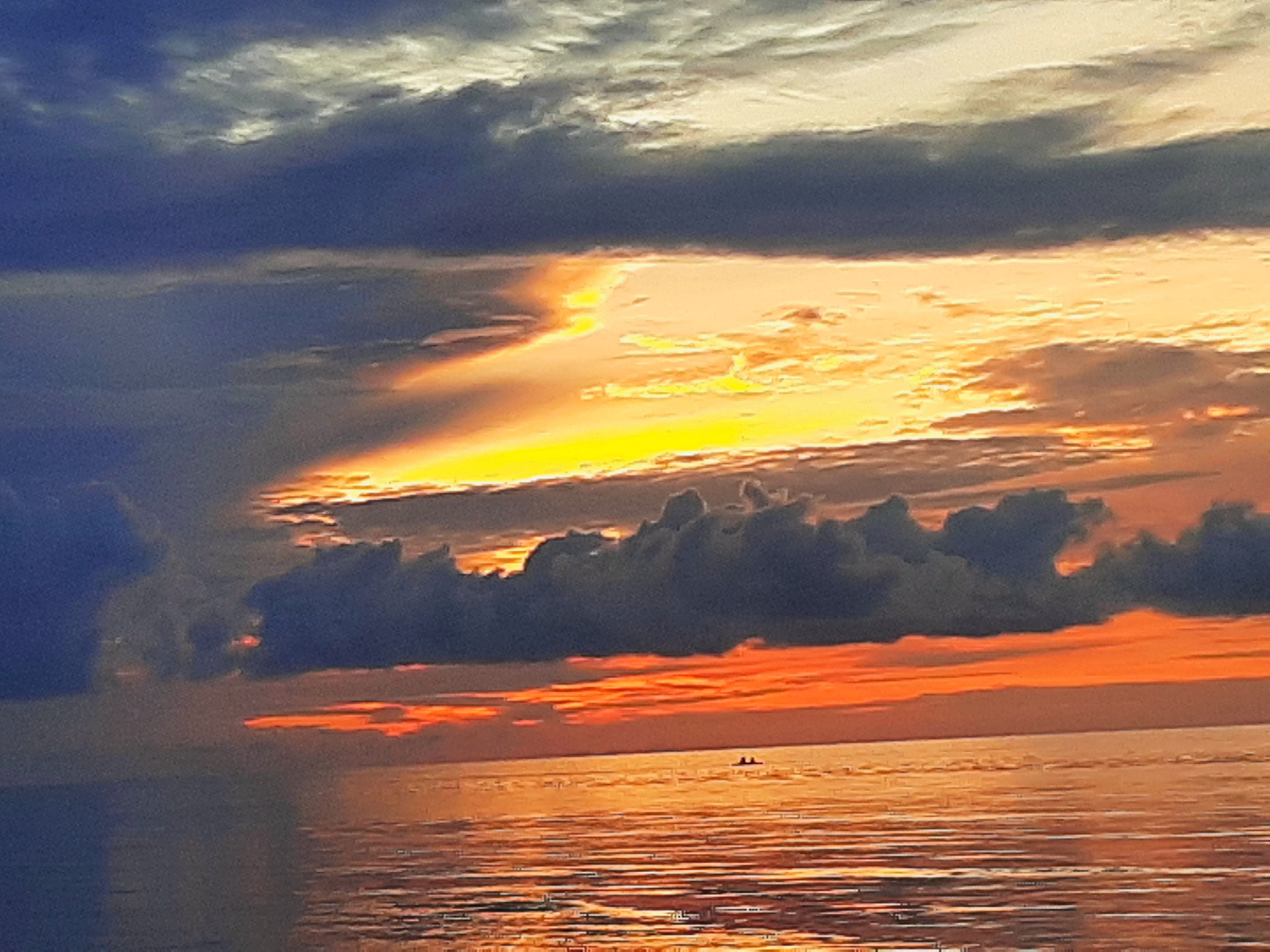 20230819_053903.jpg
