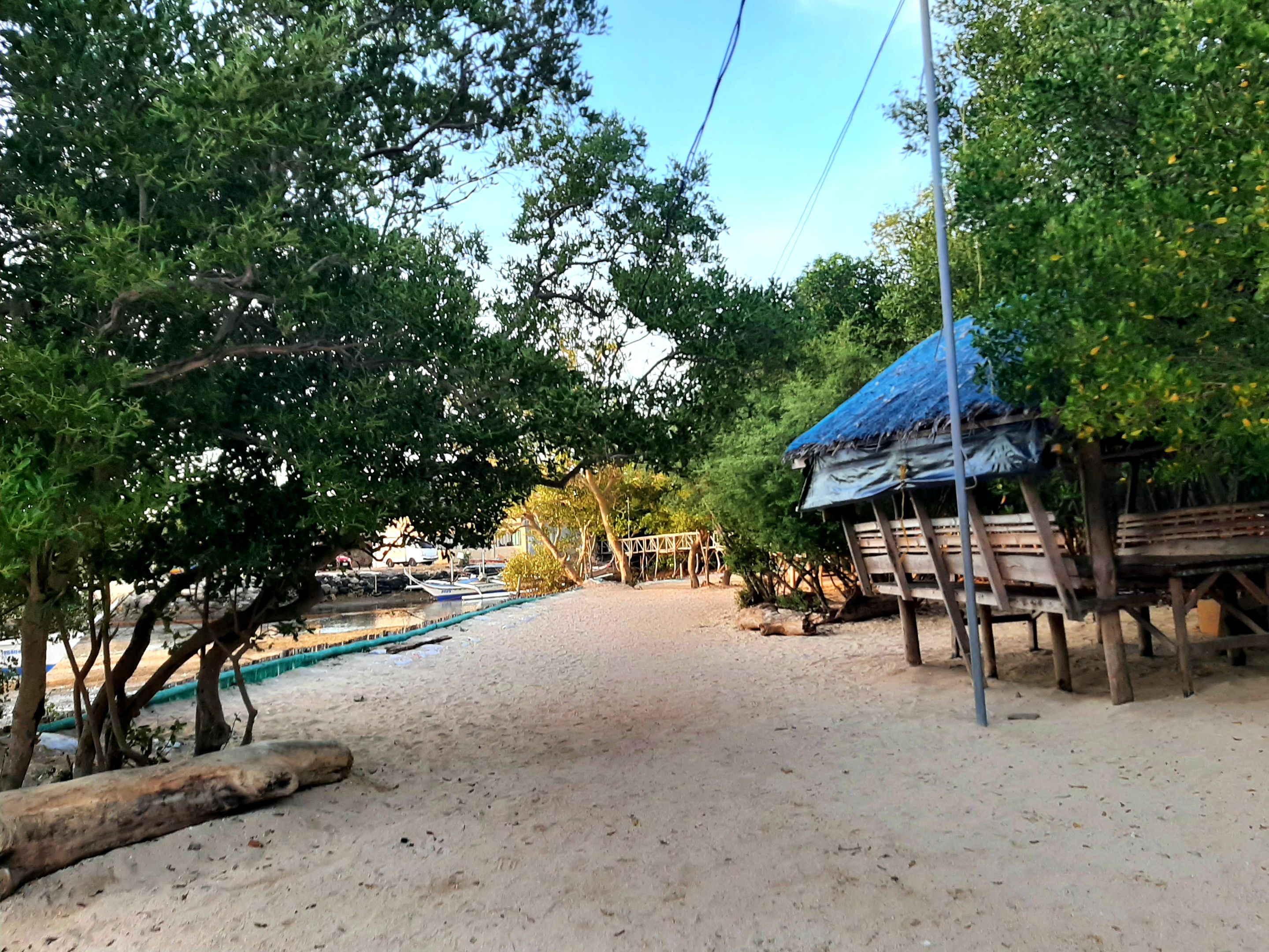 20250331_174536.jpg