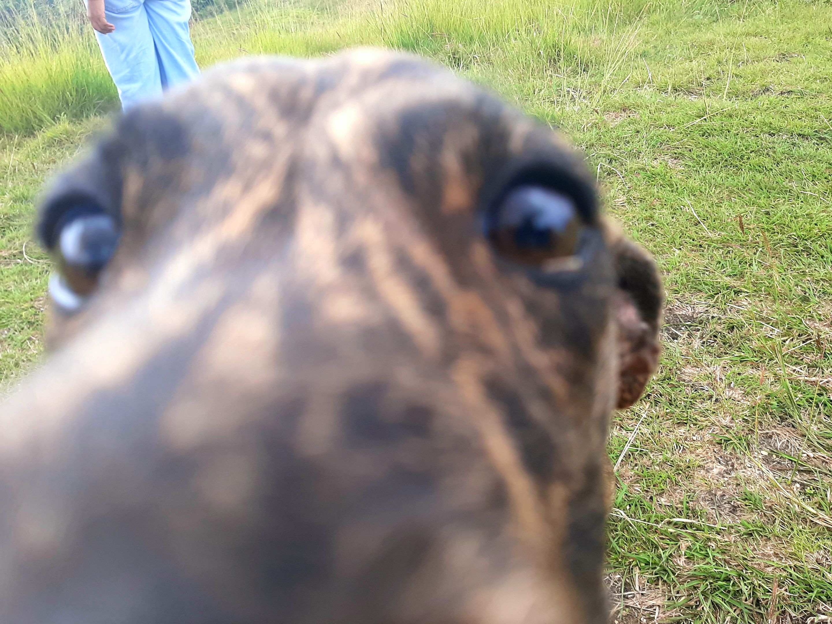 20230909_145120.jpg