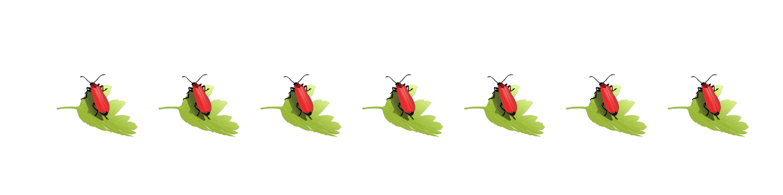 Banner insecto.png