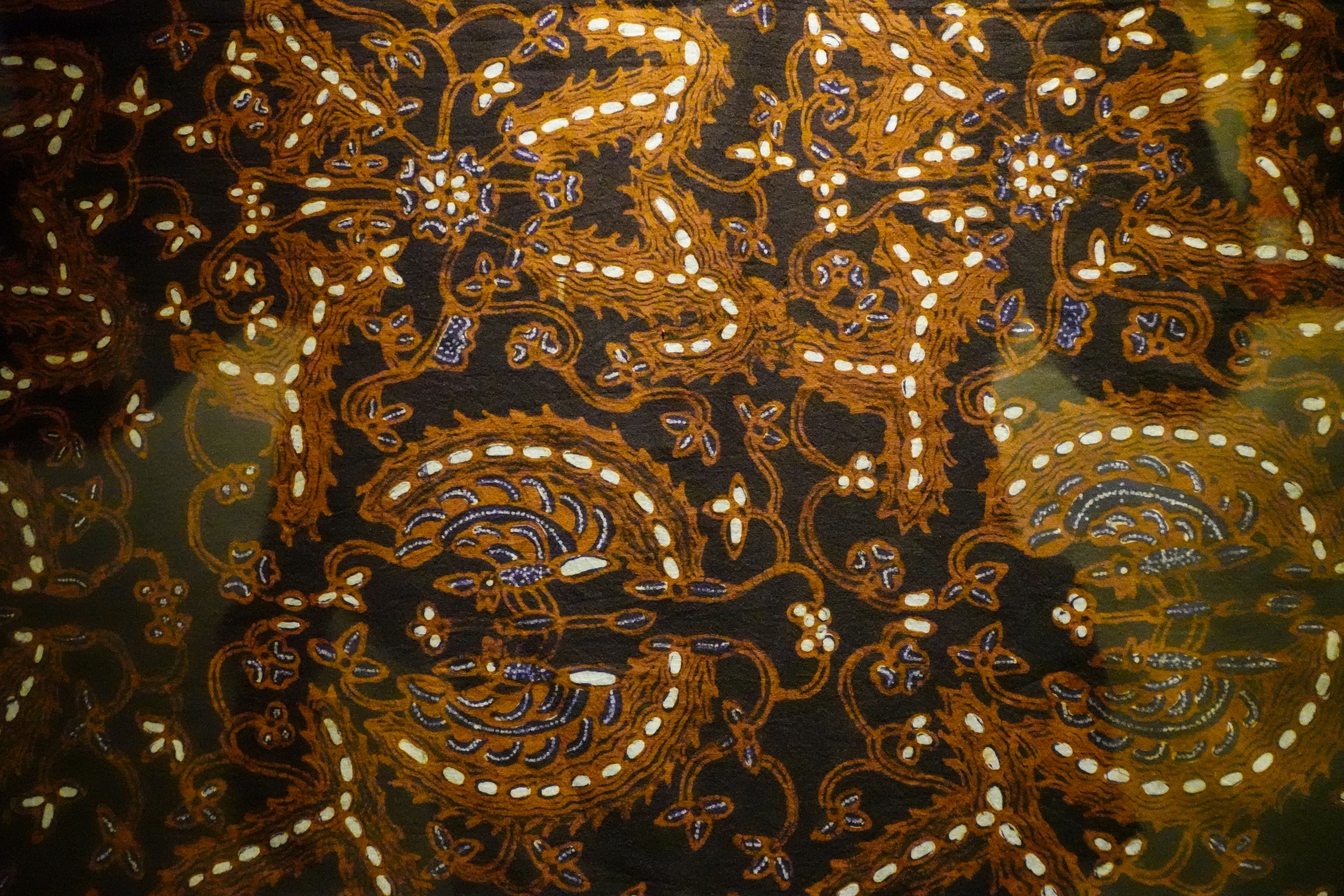 DSC00619.jpg