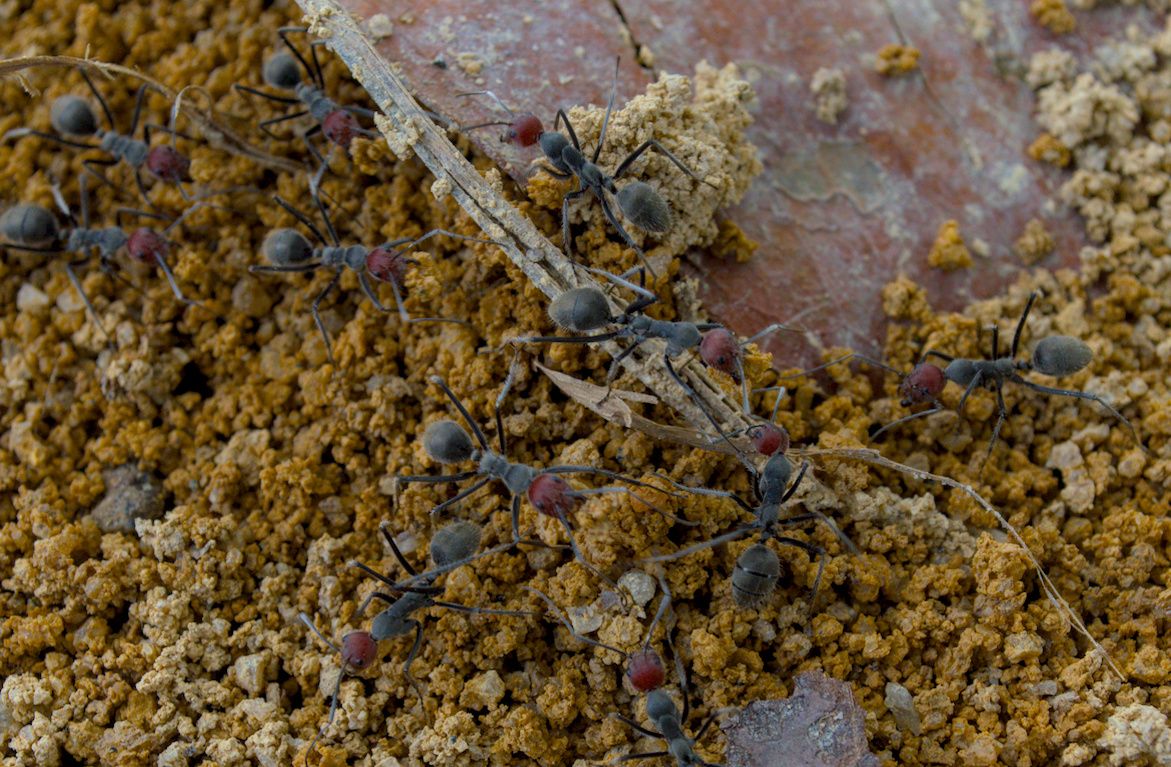 DSC_0124.jpg