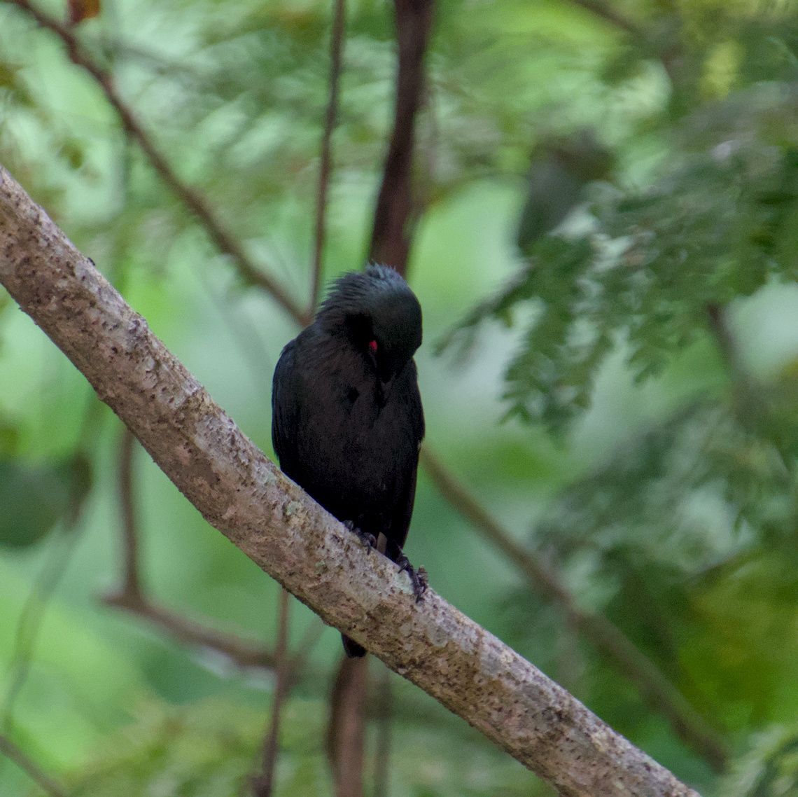 DSC_0033.jpg