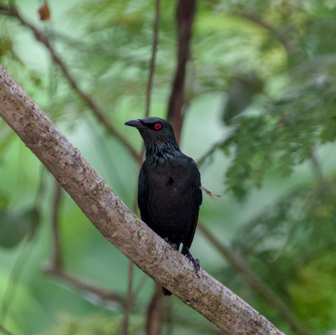 DSC_0037.jpg