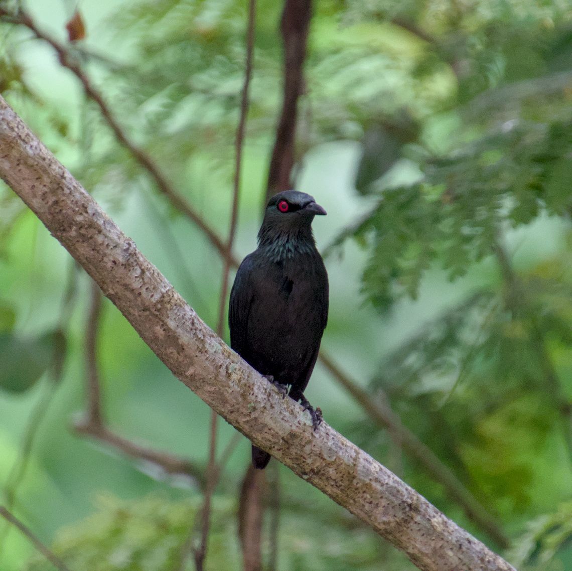 DSC_0032.jpg