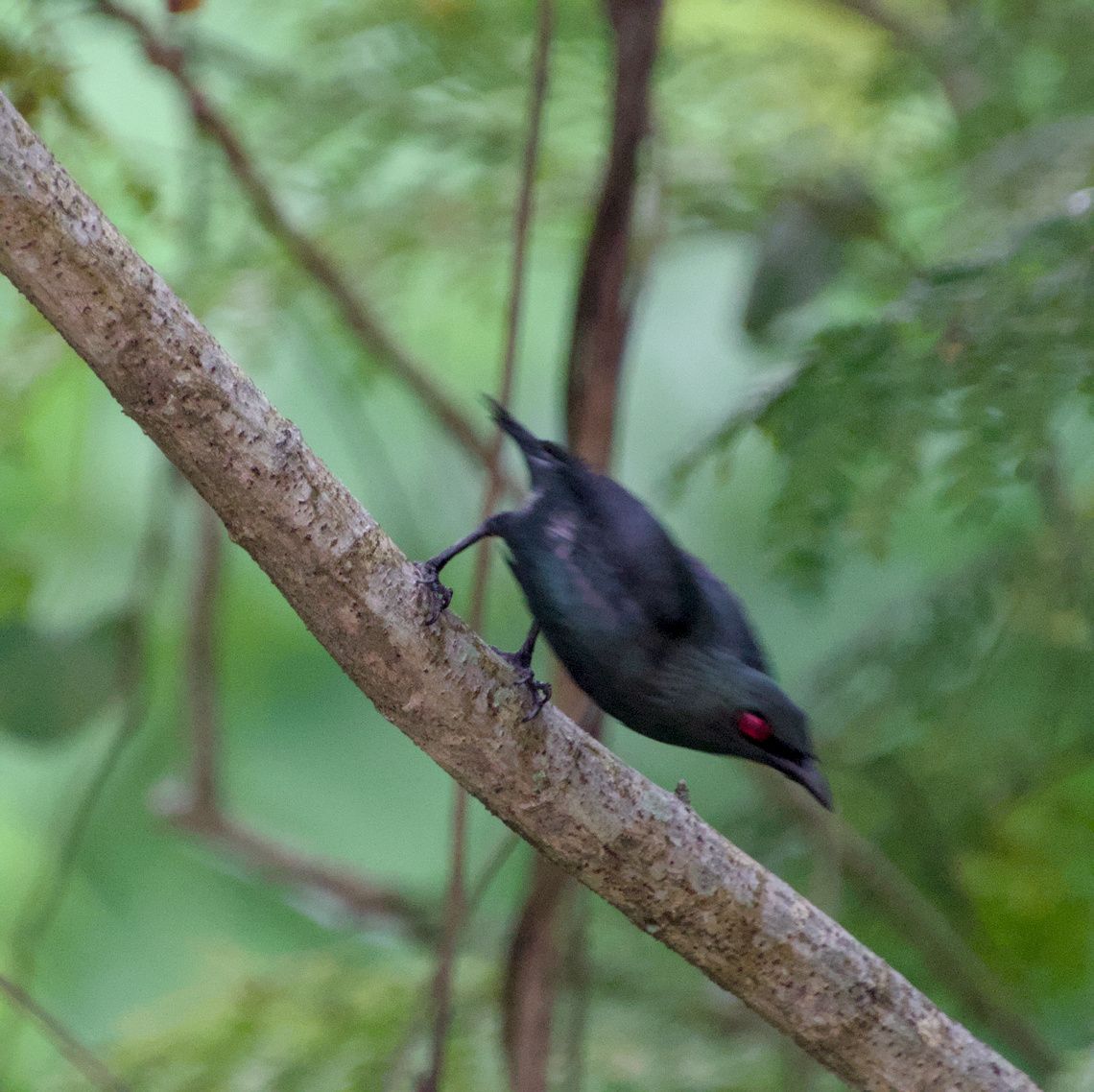 DSC_0048.jpg