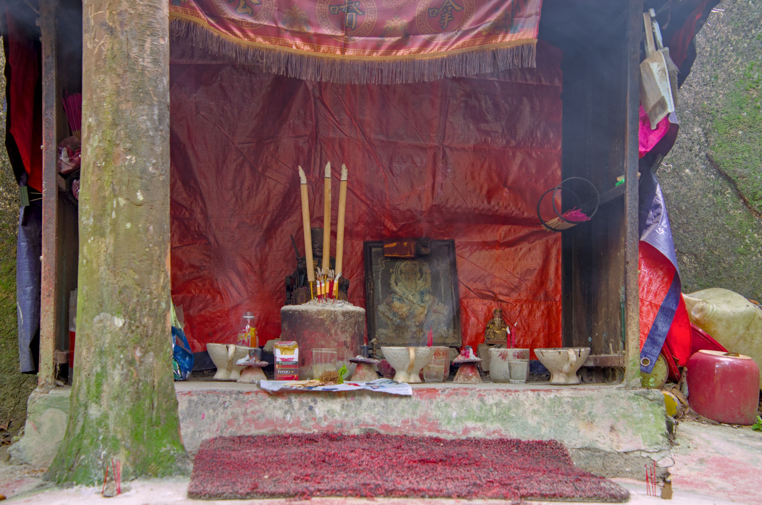 DSC_0009.jpg