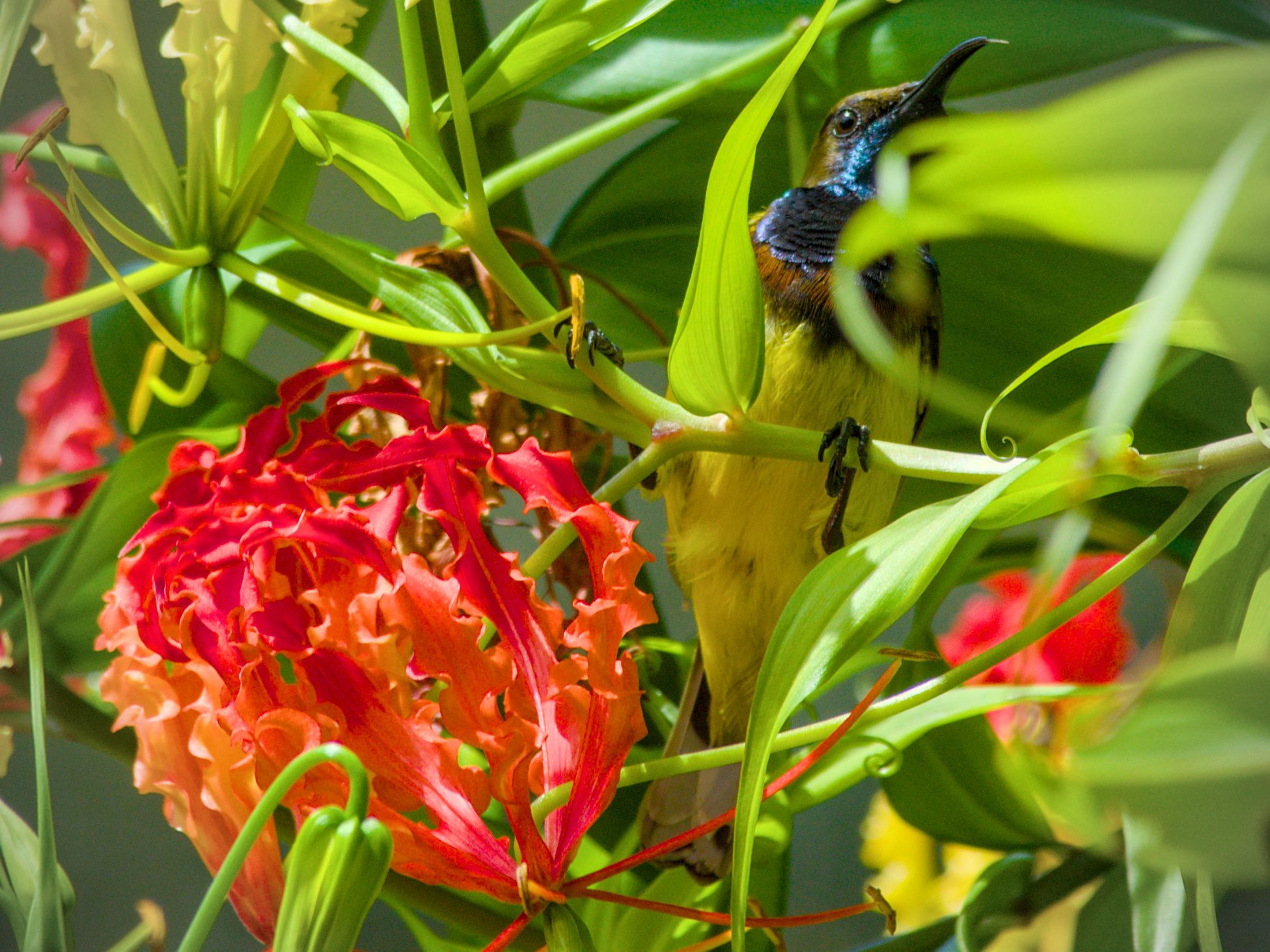 DSC_0148.jpg