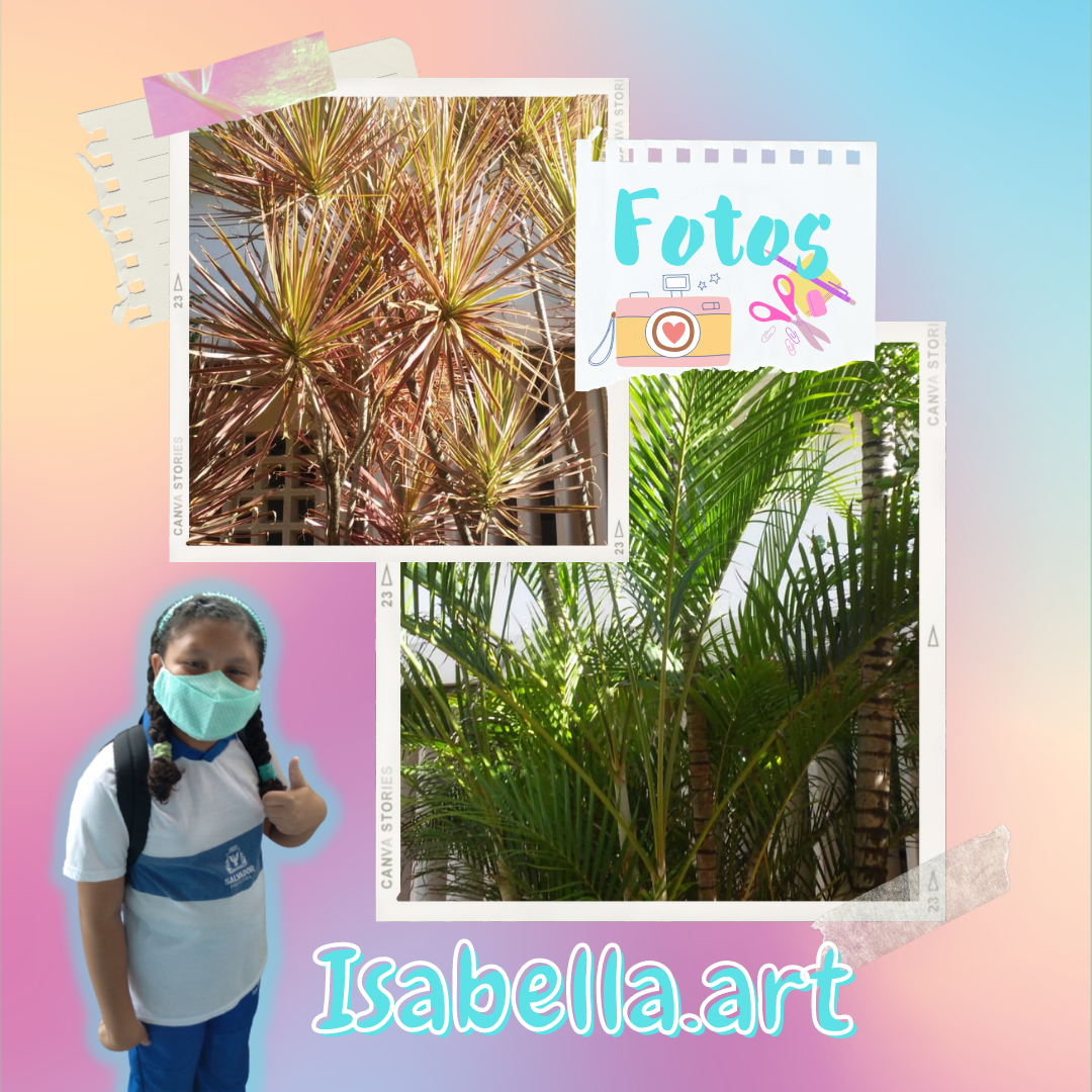 Fotos (1).png