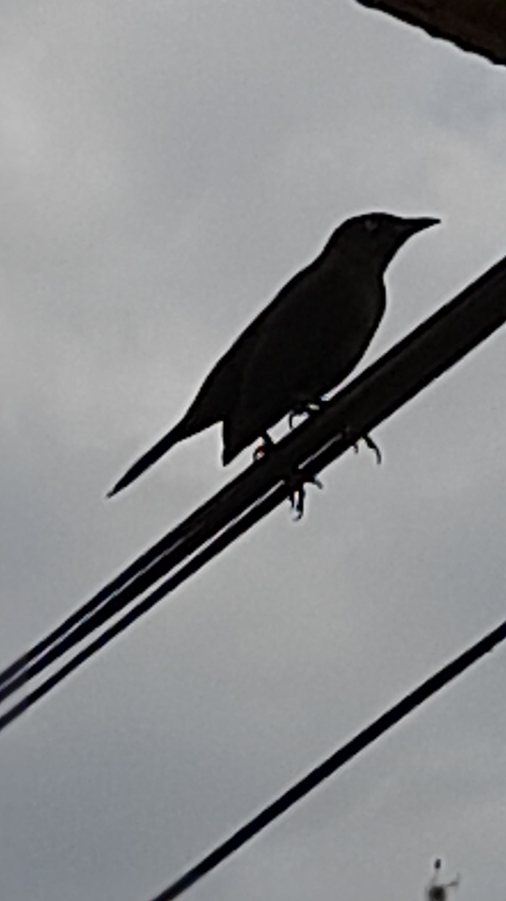 20220410_102537.jpg