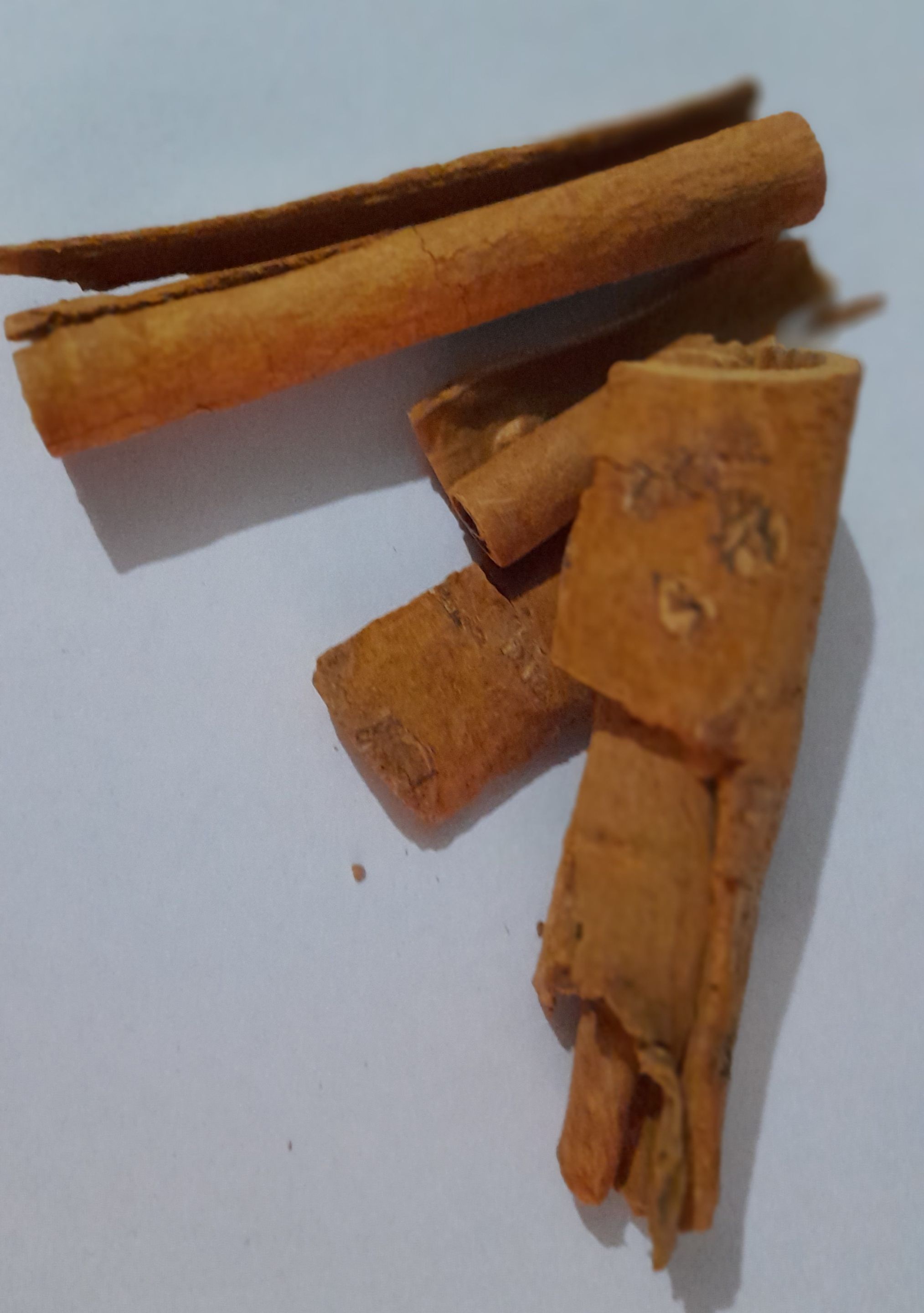 20250923_154046.jpg