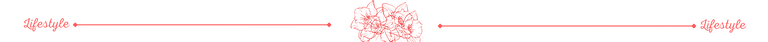 banner divisor.png