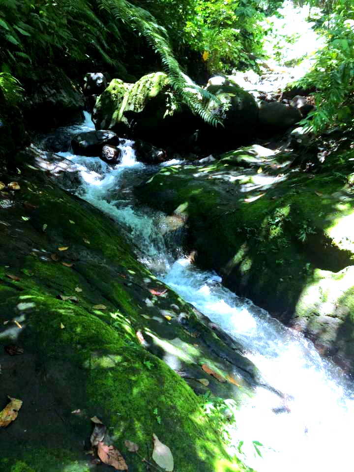 received_2274304679675081.jpeg