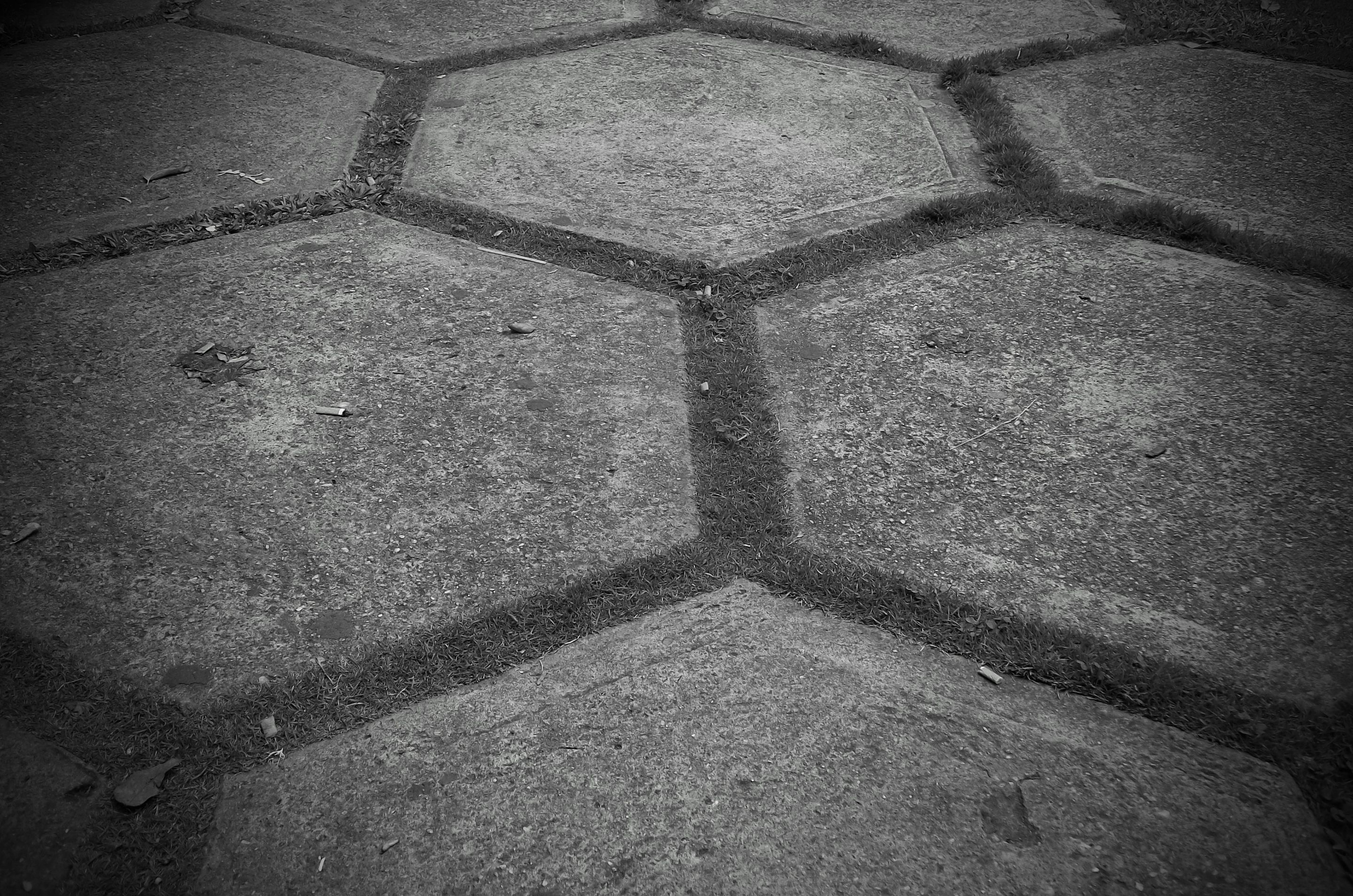 100_5658~2.JPG