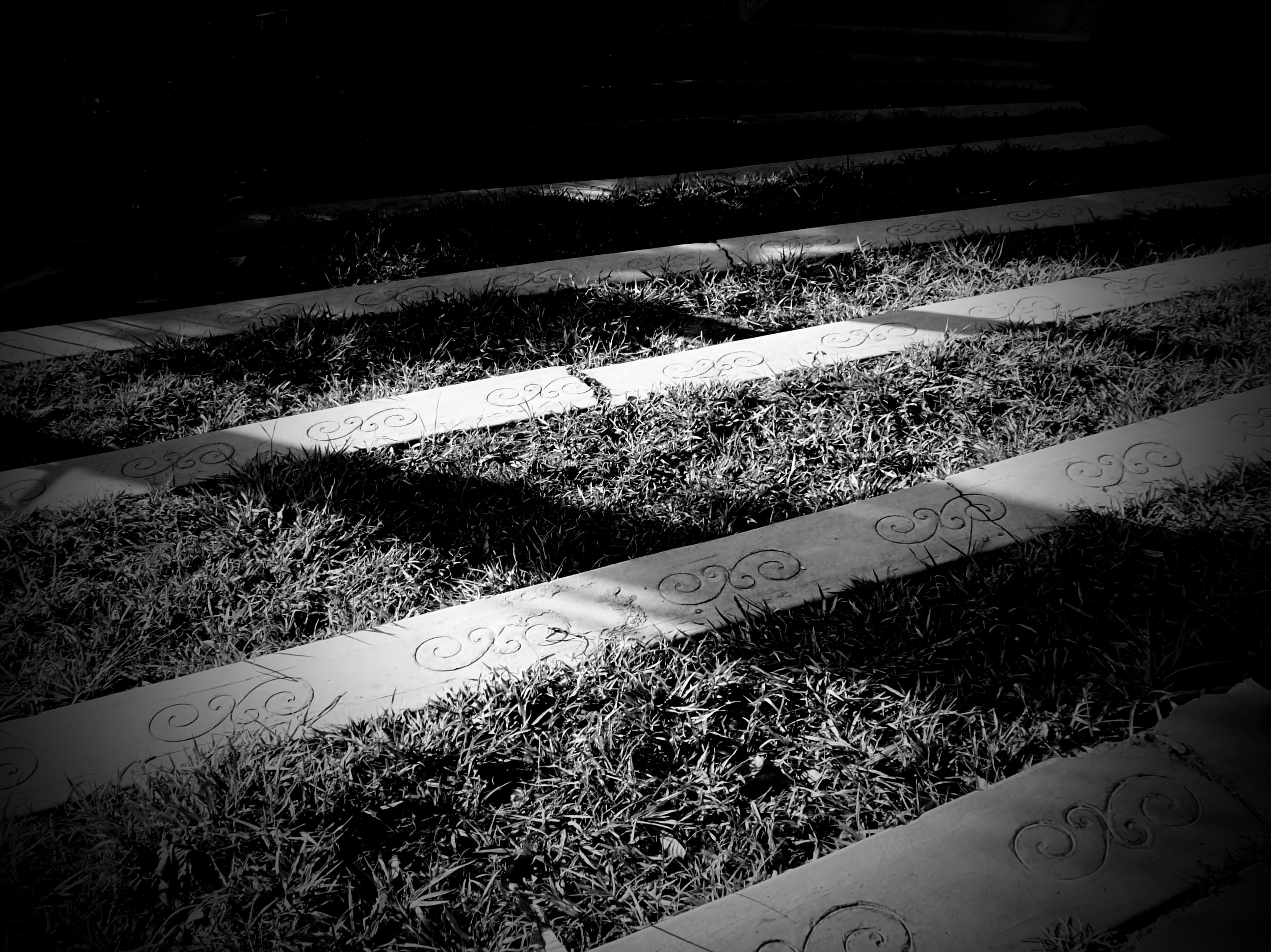 100_0876~2.JPG