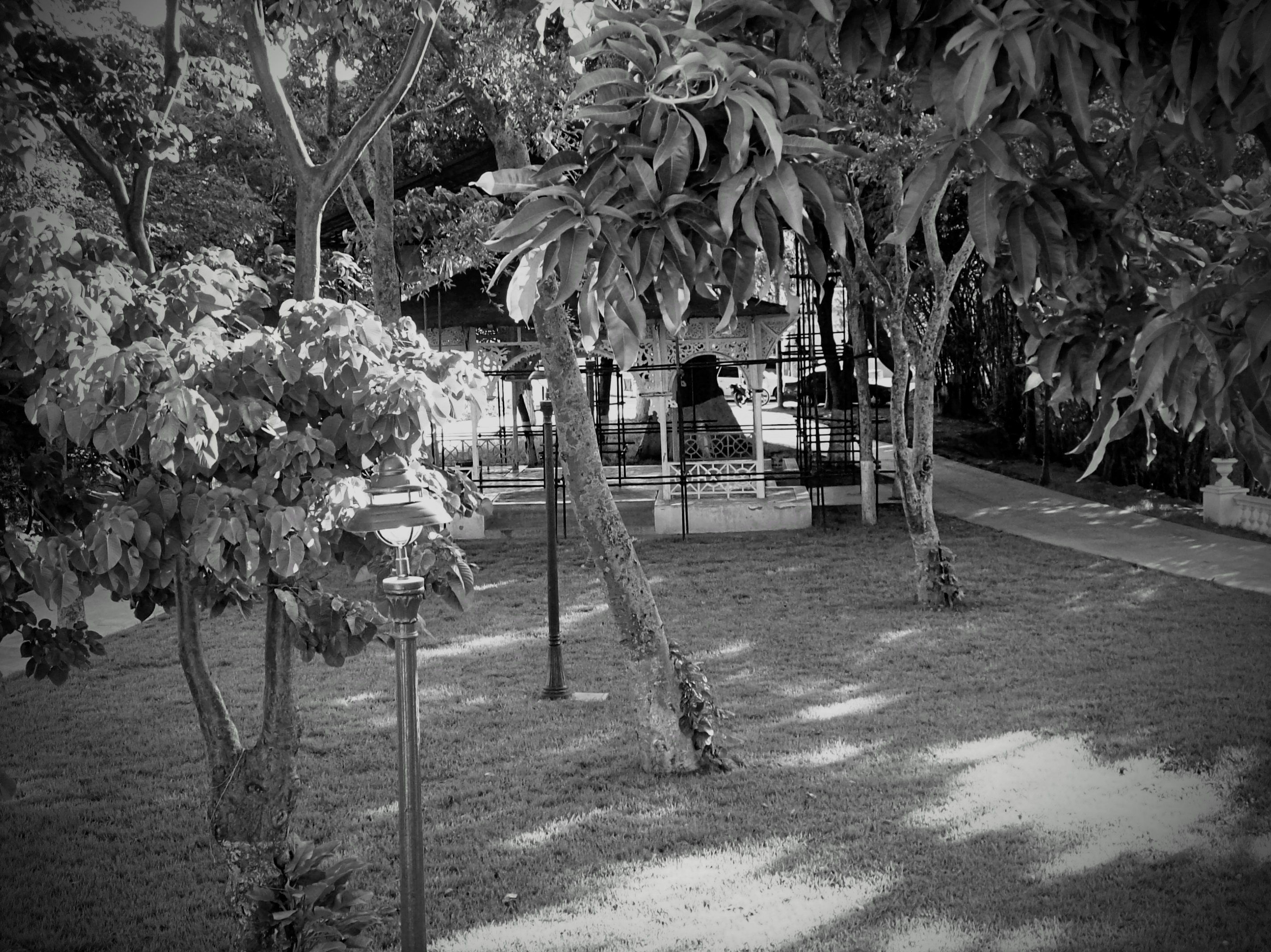 100_0916~2.JPG