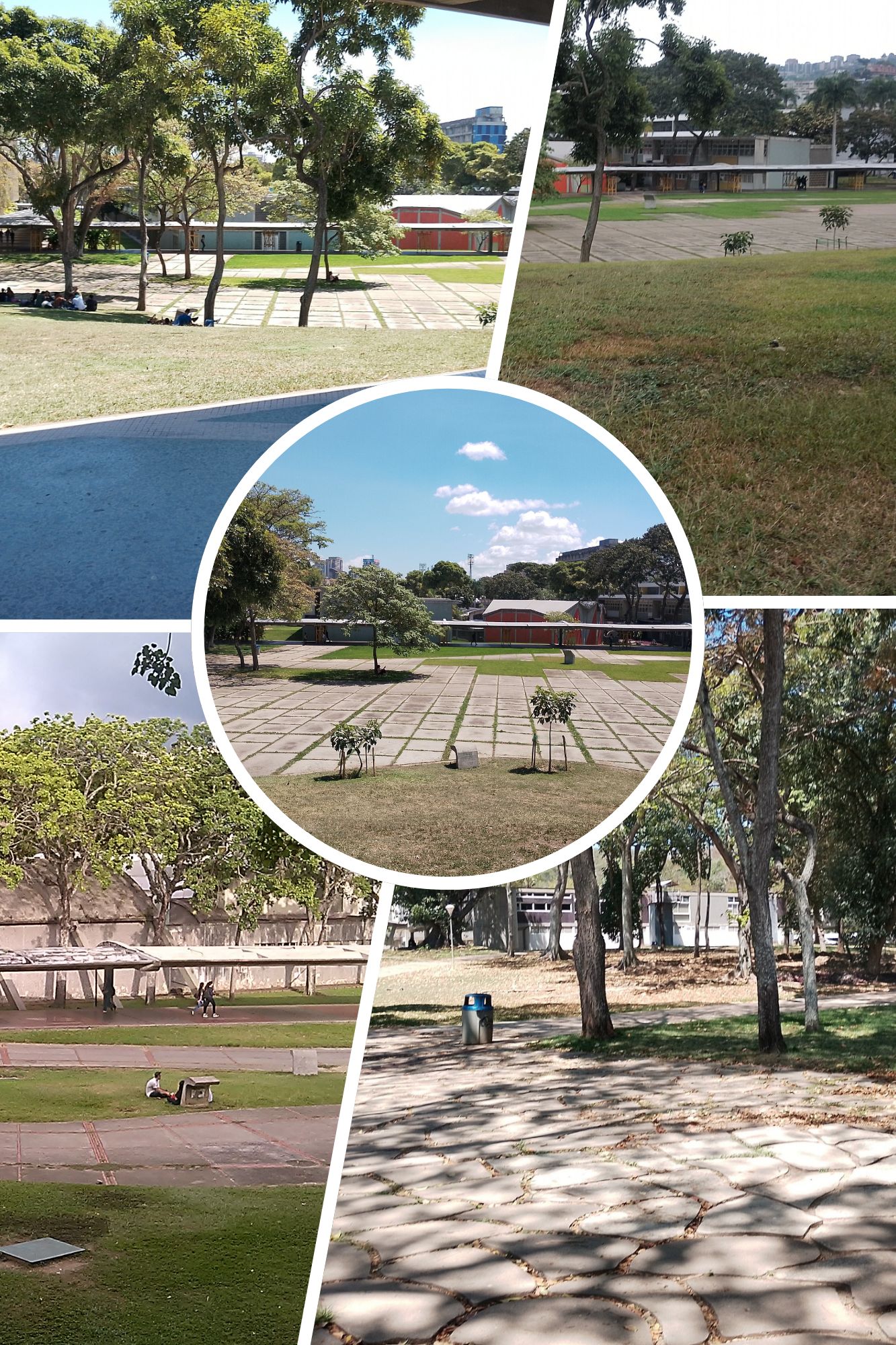 Green and Blue Neutral Natural Landscape Photo Collage.png