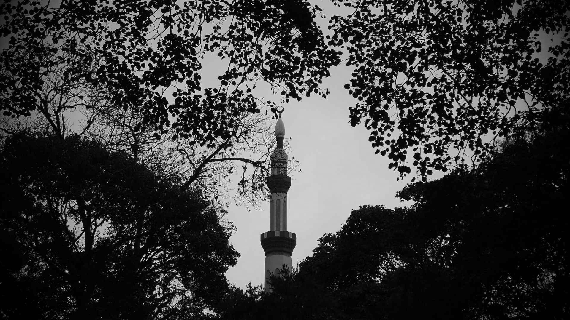 IMG_1730~2.JPG