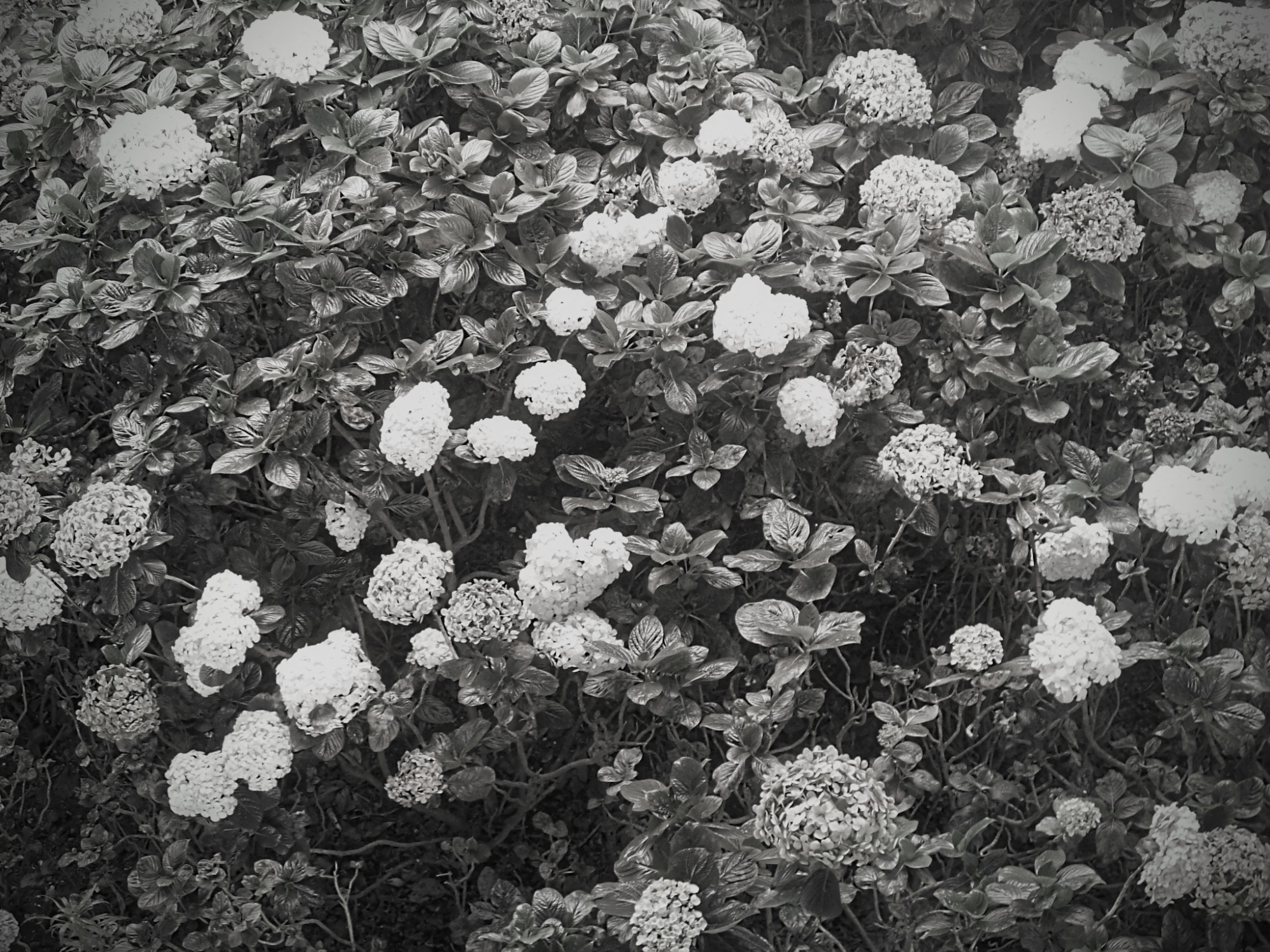 203_0481~2.JPG