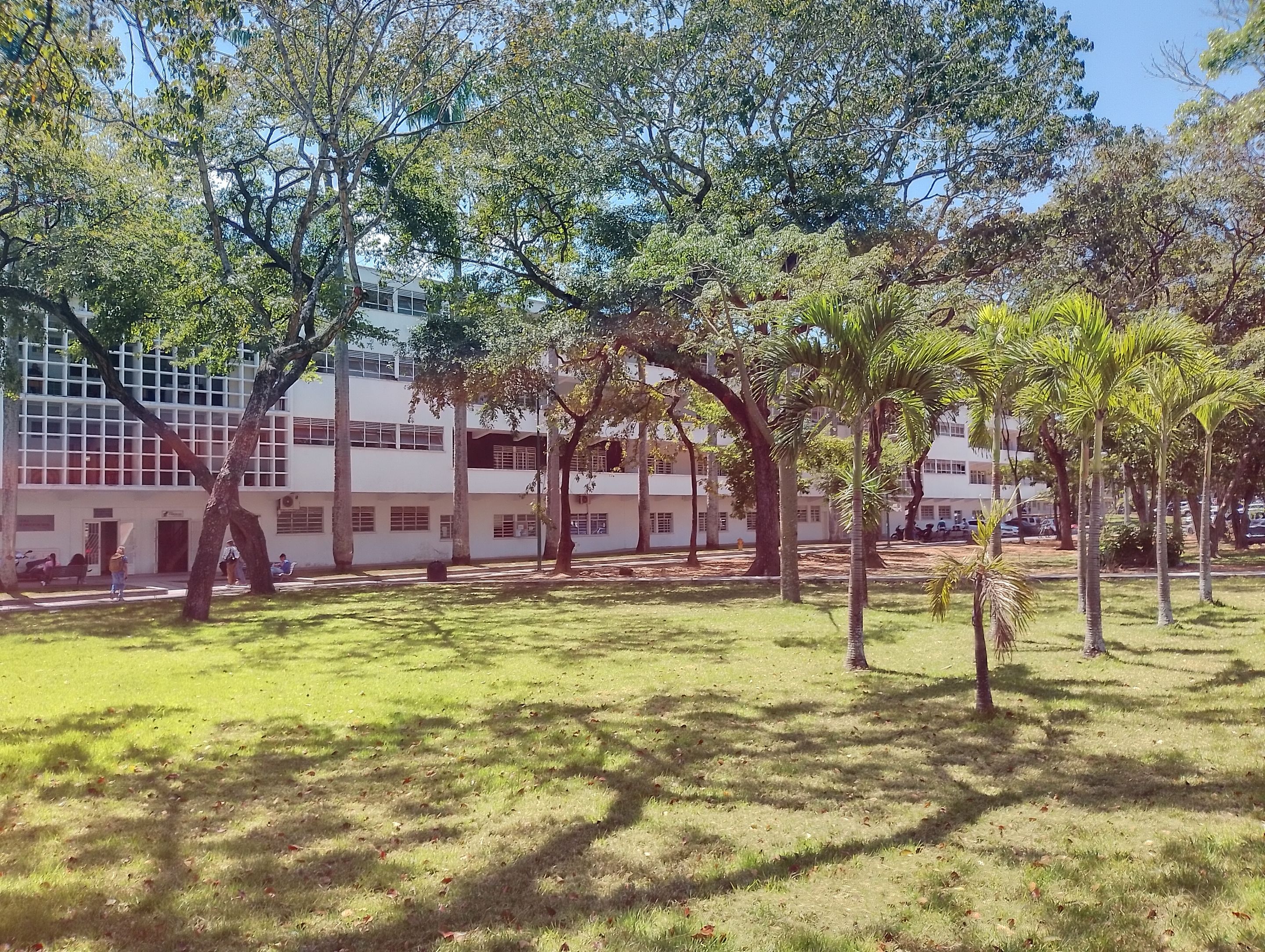 IMG_20250219_124245_HDR.jpg