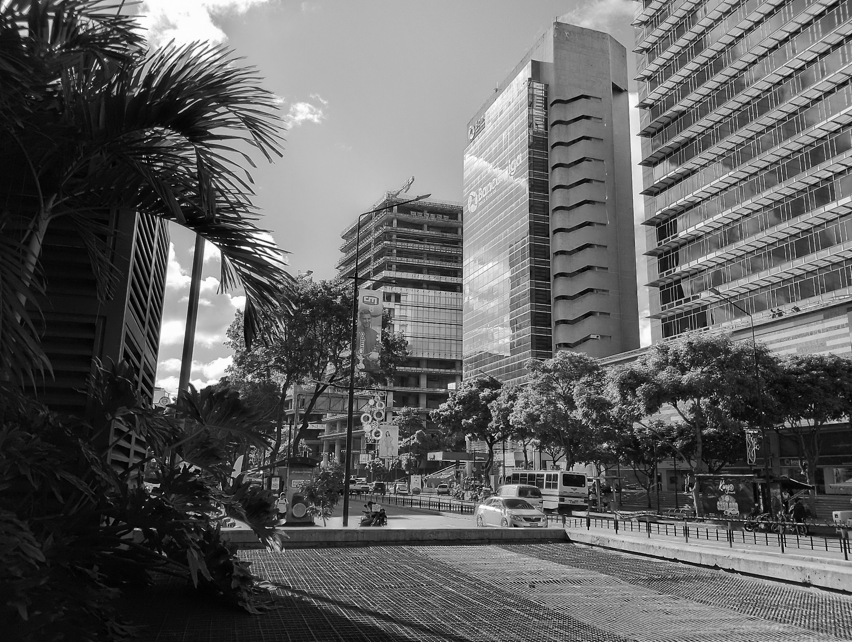 1IMG_20250121_155557_HDR~2 (1).jpg