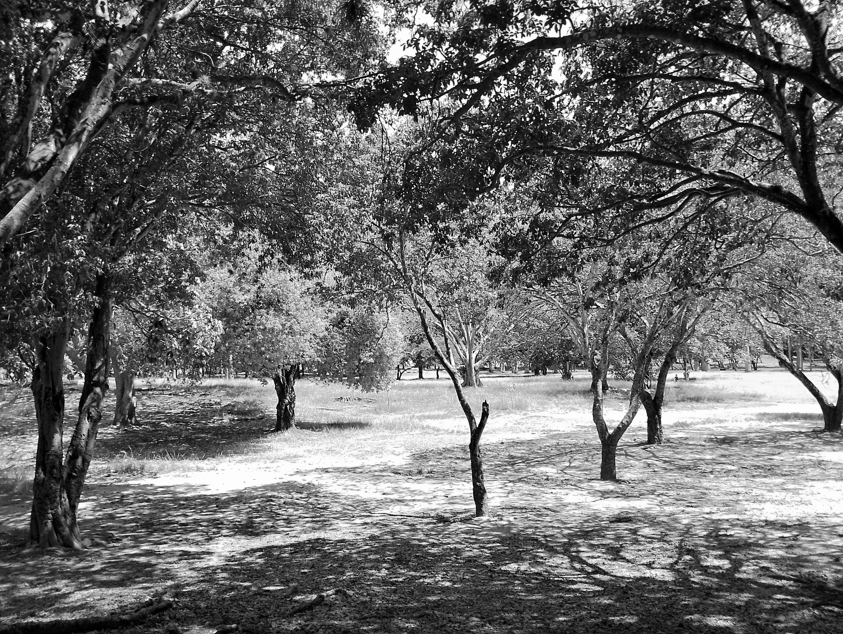 2-IMG_20251007_105657 (1).jpg