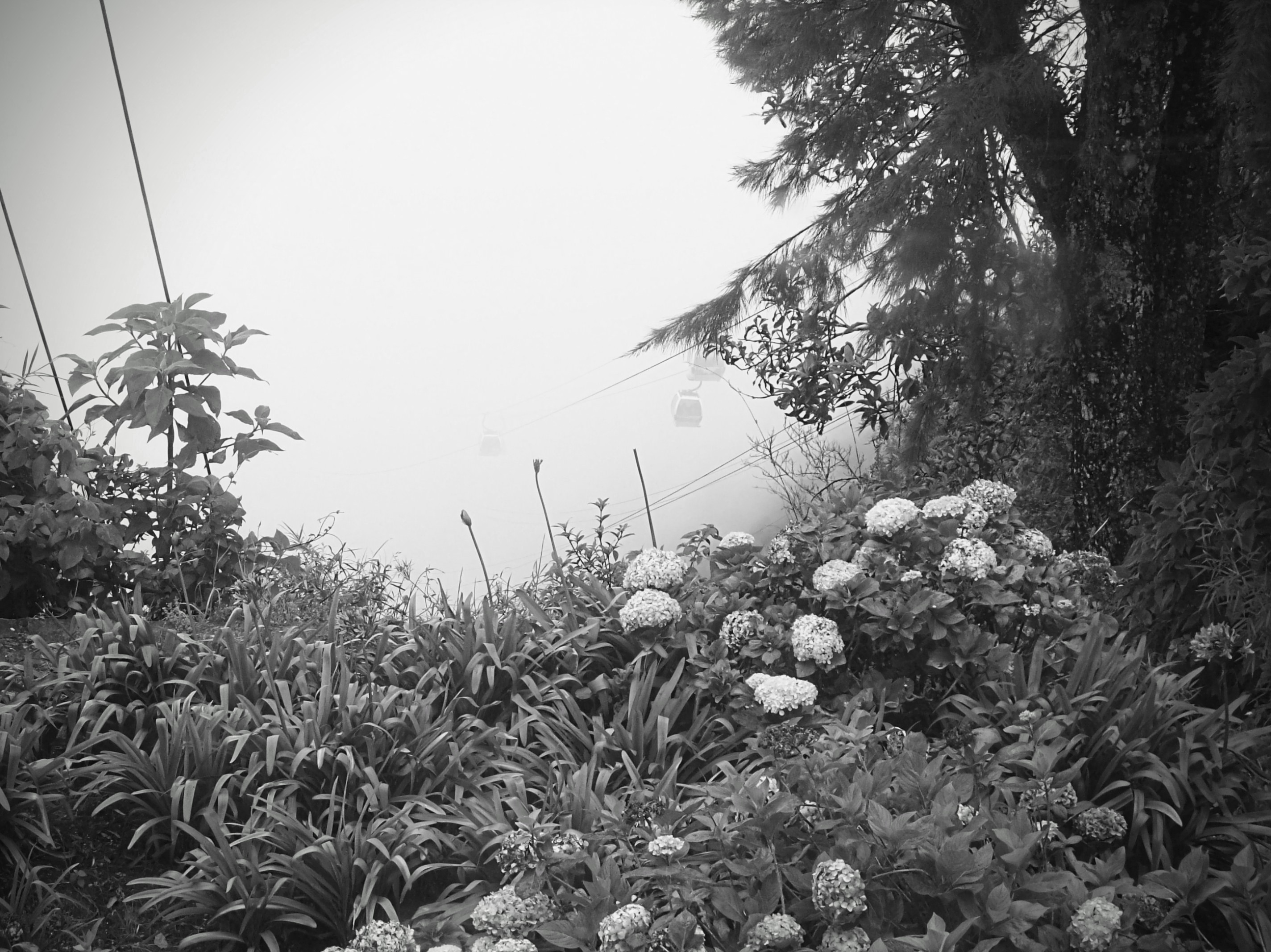203_0484~2.JPG