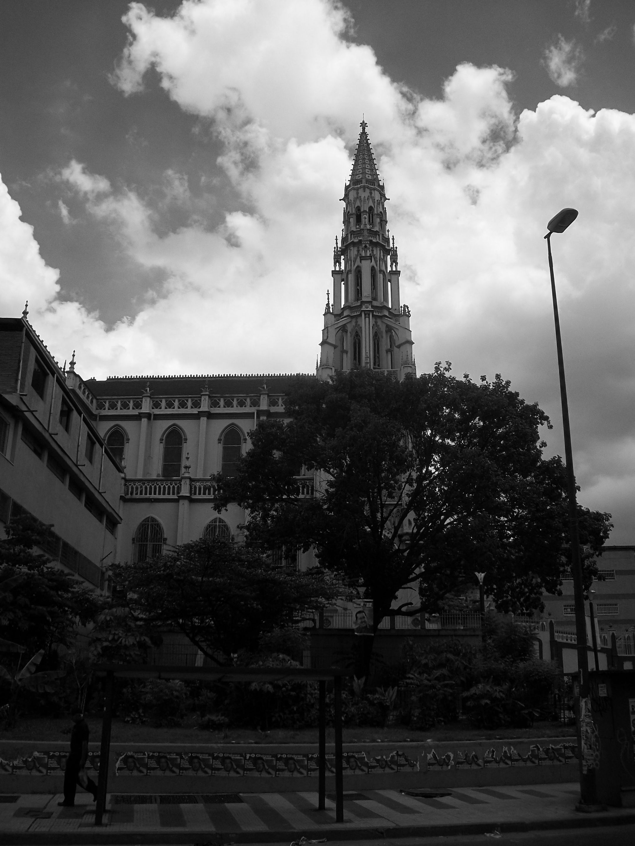 1IMG_20250121_155557_HDR~2 (2).JPG
