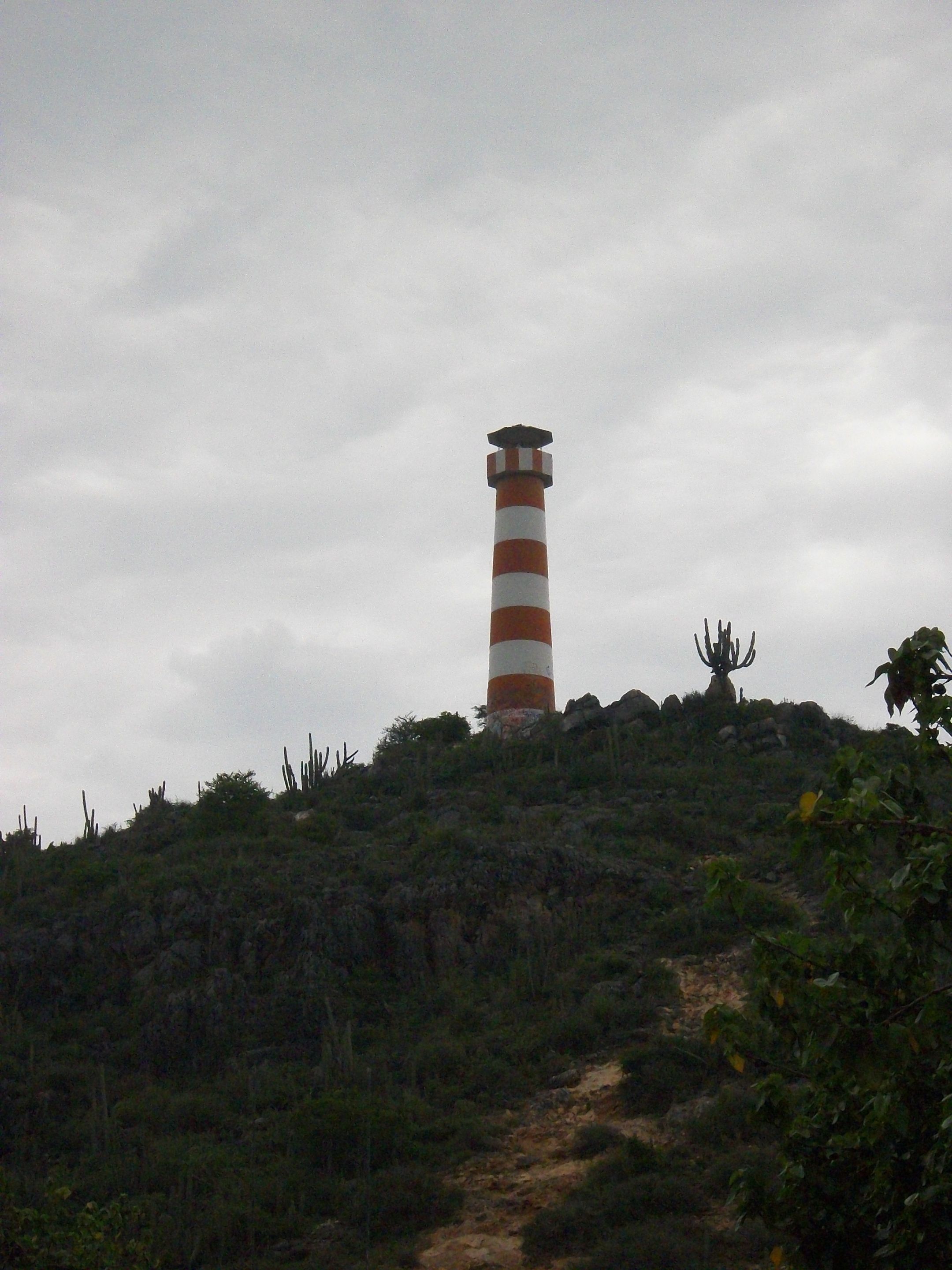 100_6419.JPG