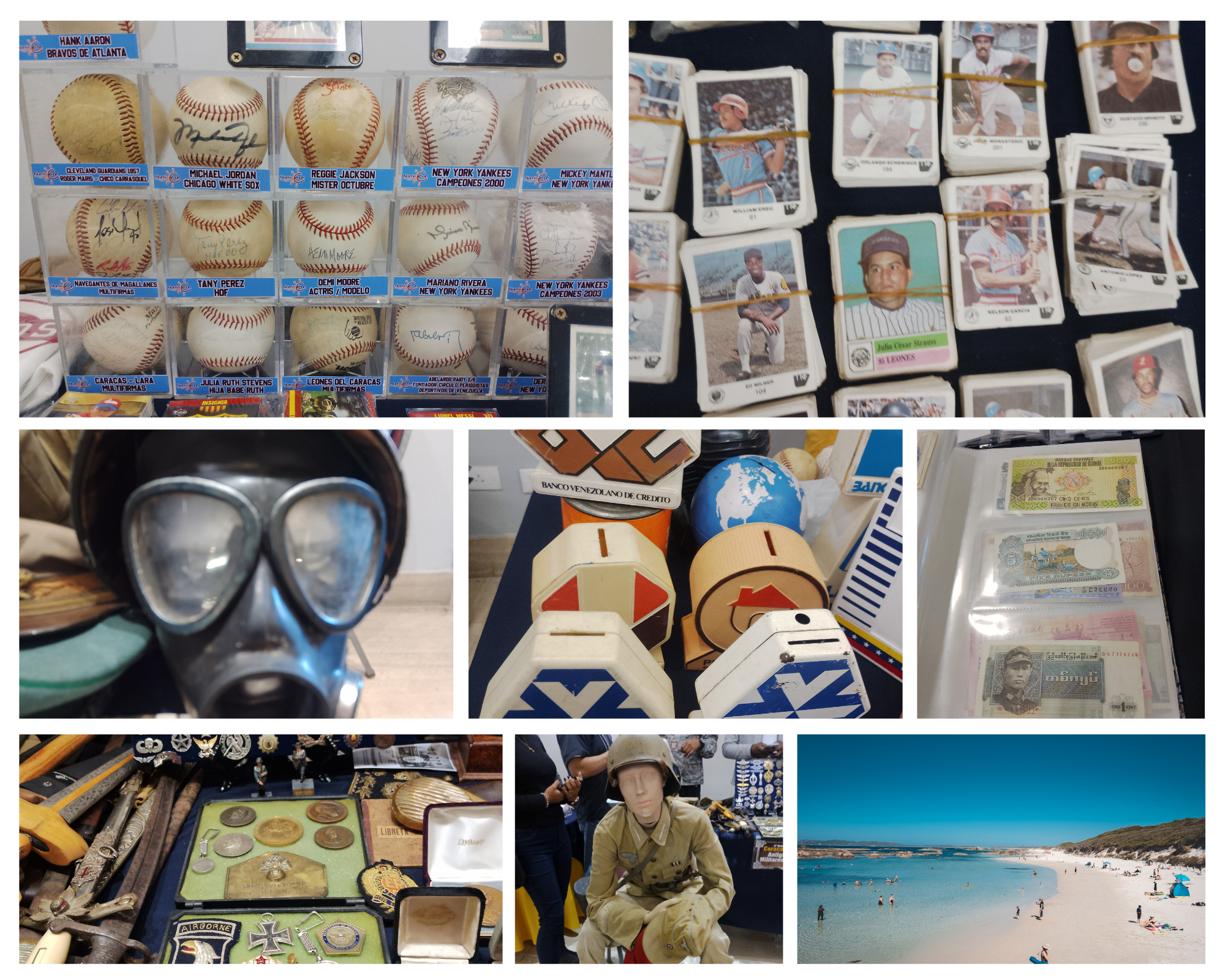 Blue and white natural summer photo collage.png